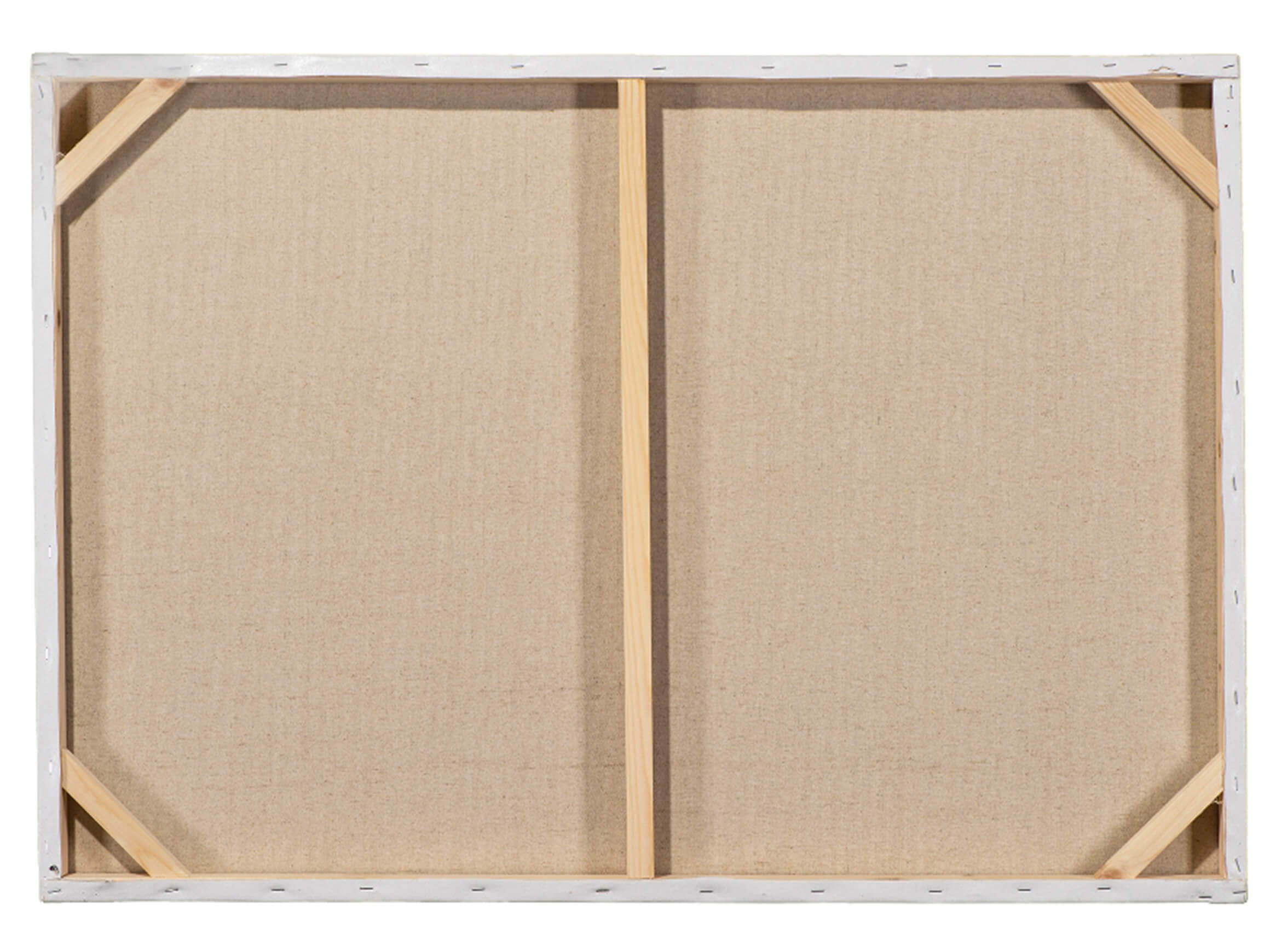 Bild Lustiger Bunter Hund image LAND