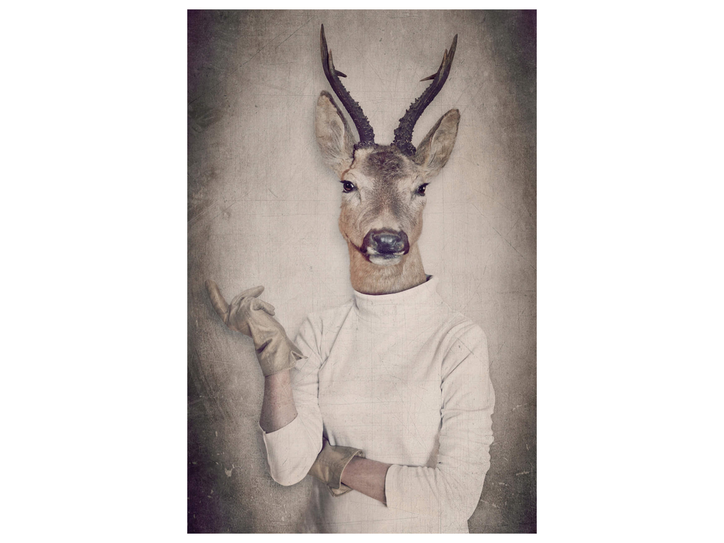 Digitaldruck auf Glas Rehbock mit Pullover image LAND