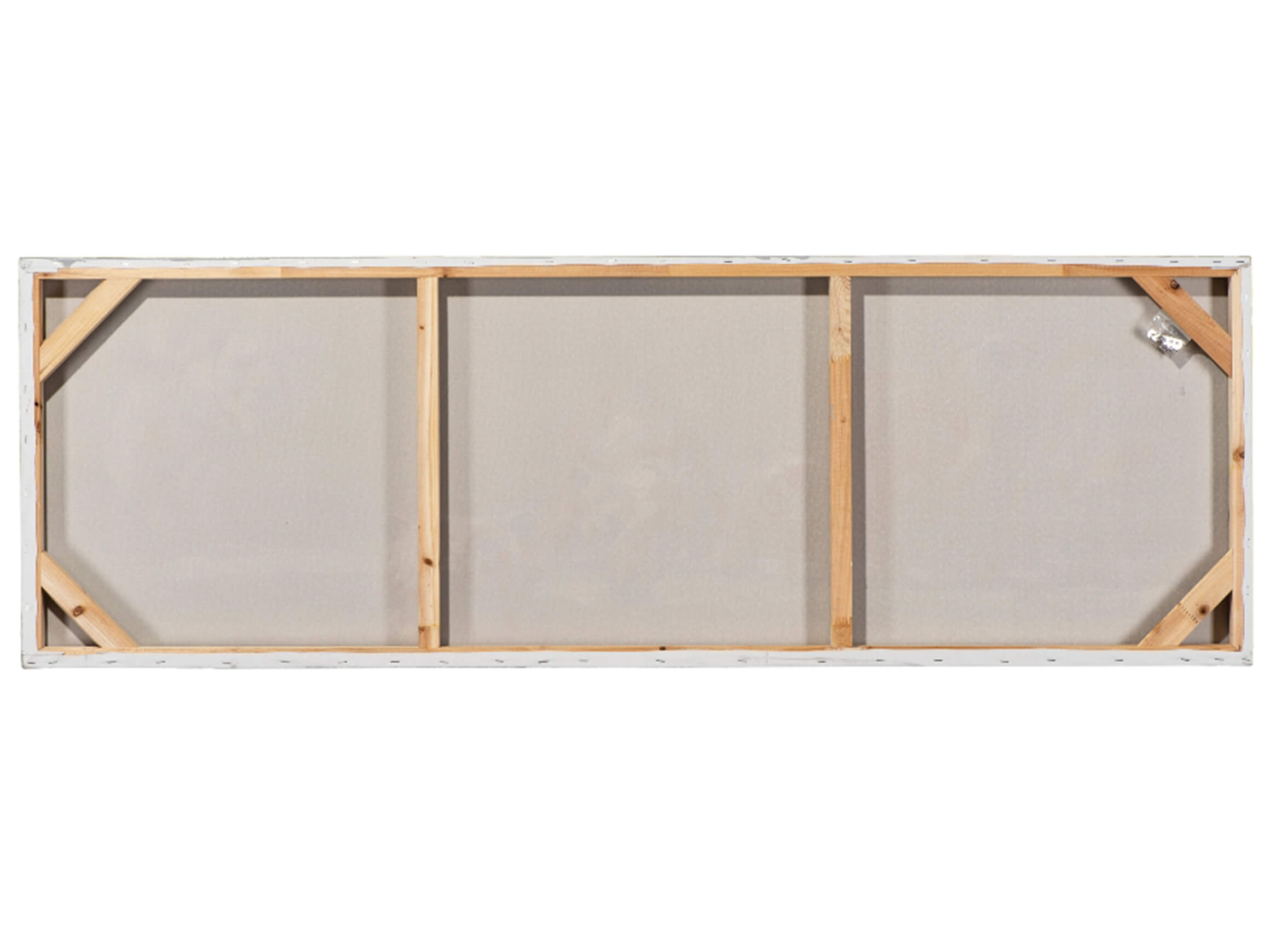 Bild Farbenfrohe Tukane image LAND