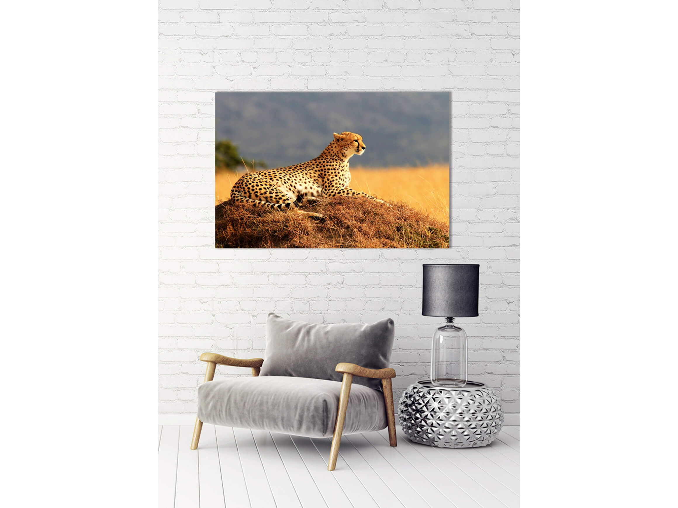 Digitaldruck auf Acrylglas Gepard image LAND / Grösse: 120 x 80 cm