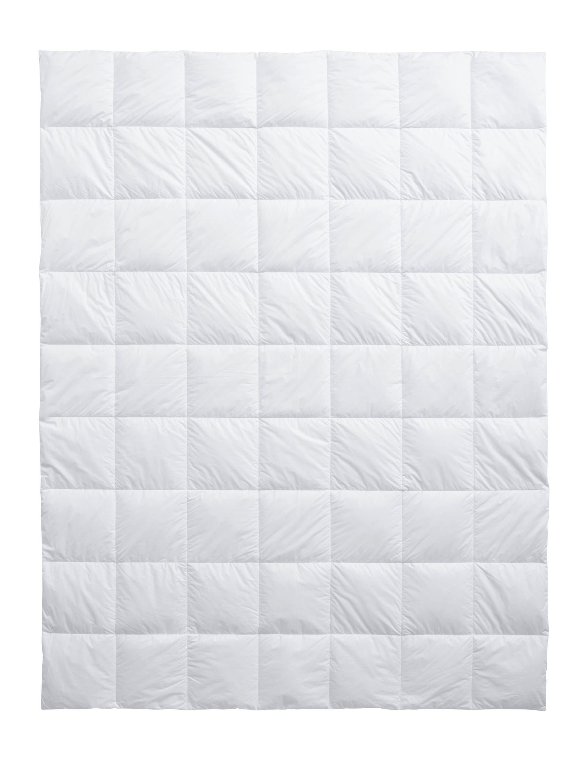 Sommerduvet Climacontrol® Superlight von Billerbeck / Grösse: 160 x 210 cm