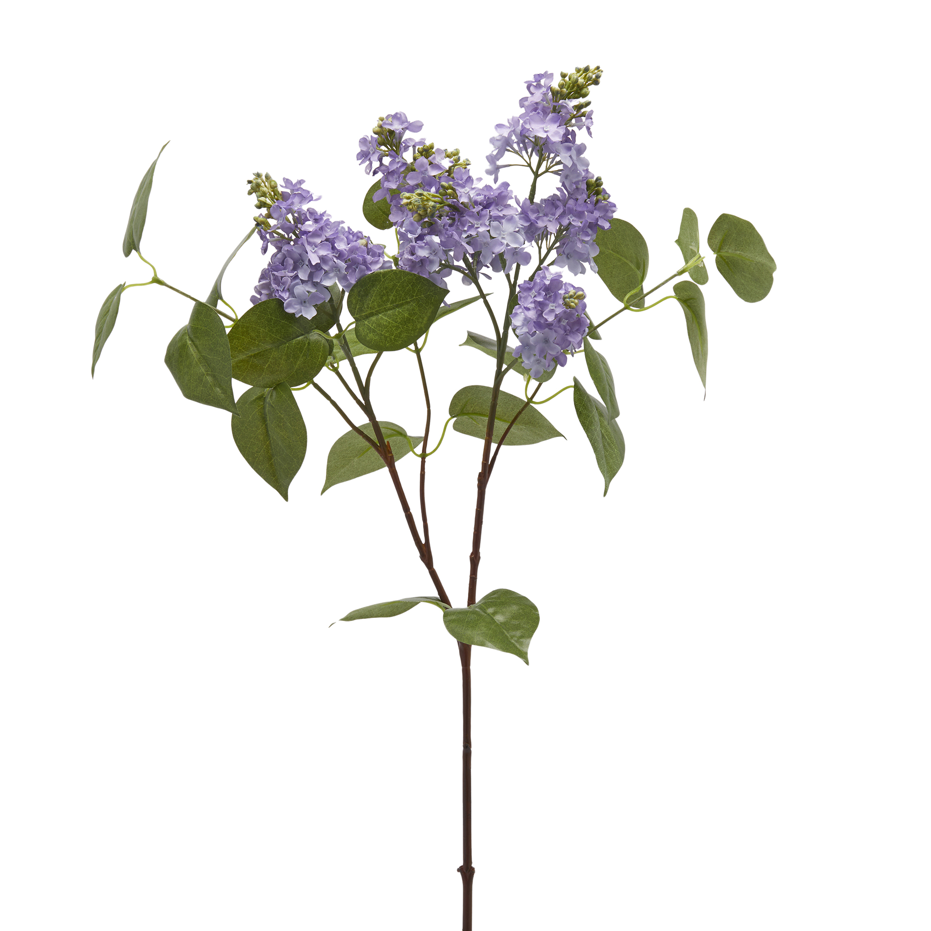 Edg Kunstblume Flieder Lila H: 66 cm Violett | Schubiger Möbel