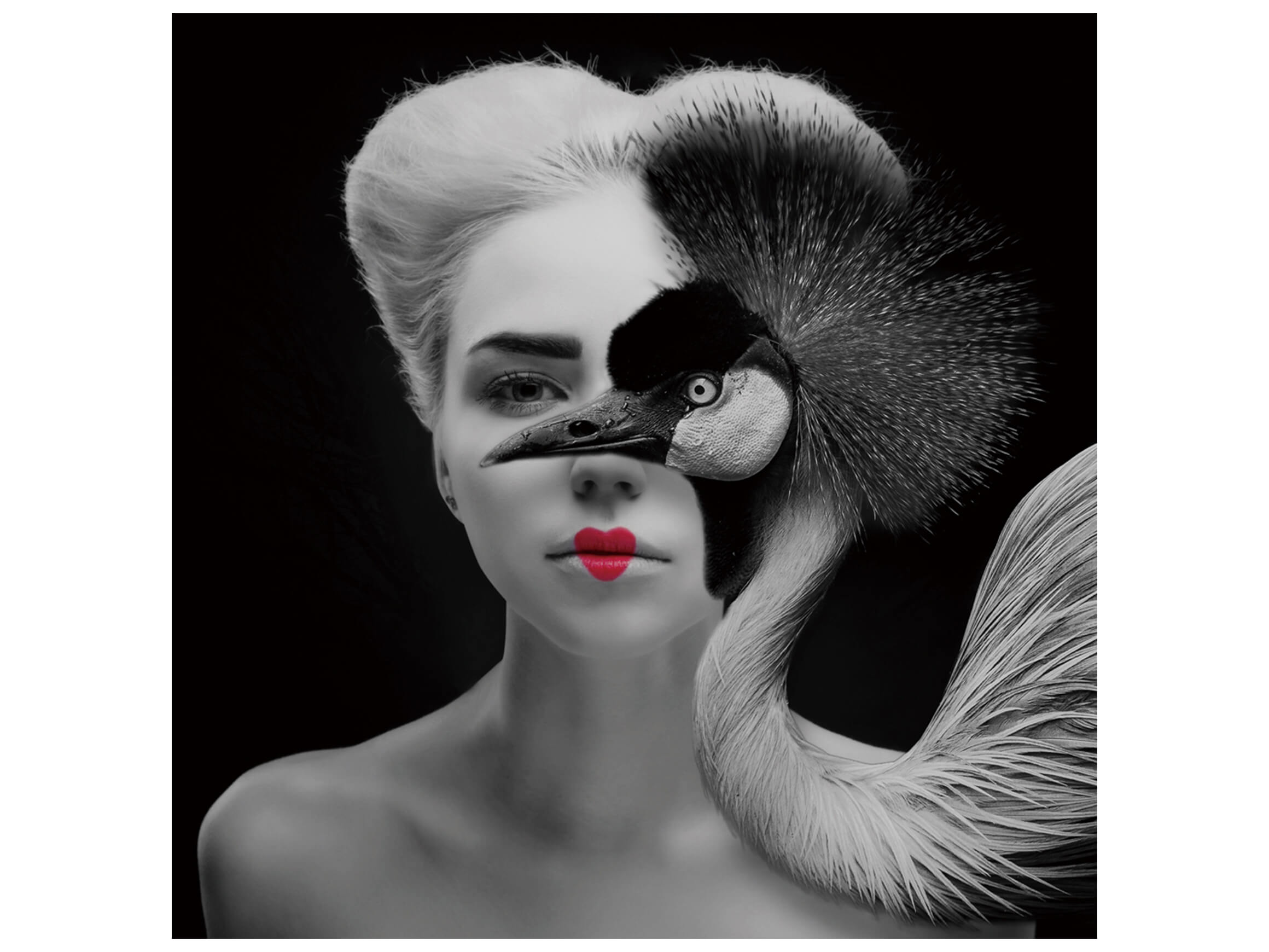 Digitaldruck auf Glas Kranich mit Blonder Frau S/w image LAND