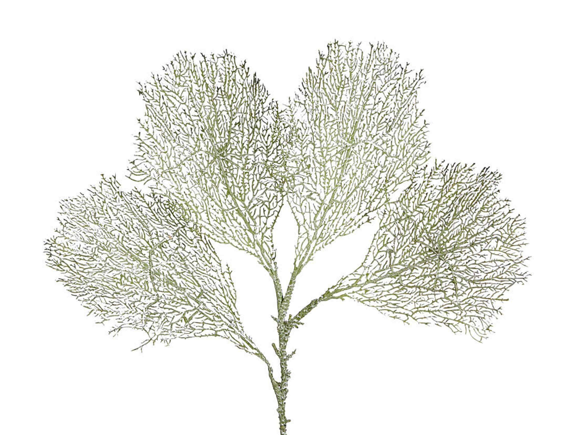 Edg Kunstblume Corallenblatt H: 66 cm  | Schubiger Möbel