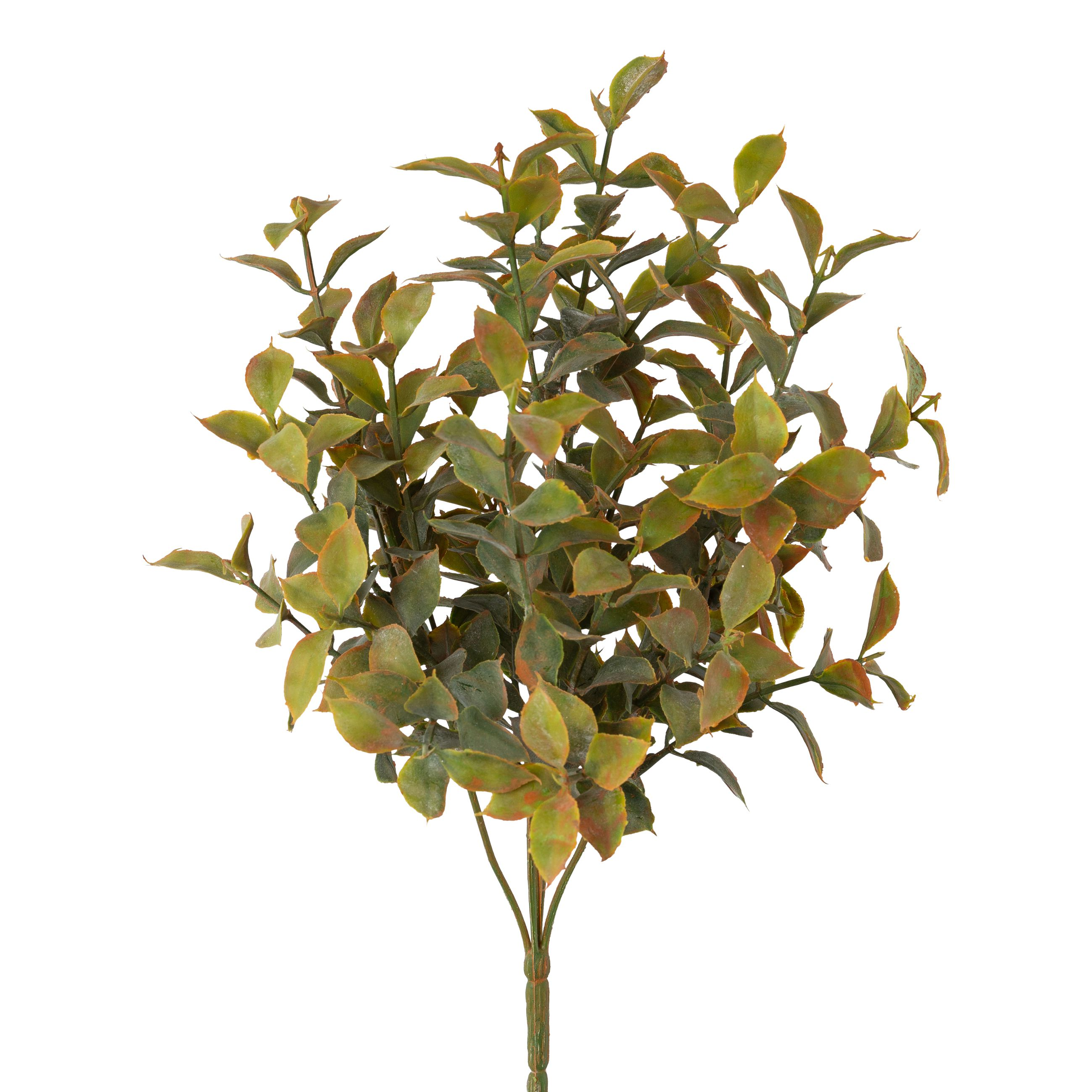 Kunstblumen Ruscusbusch, Grün H: 33 cm Gasper / Farbe: