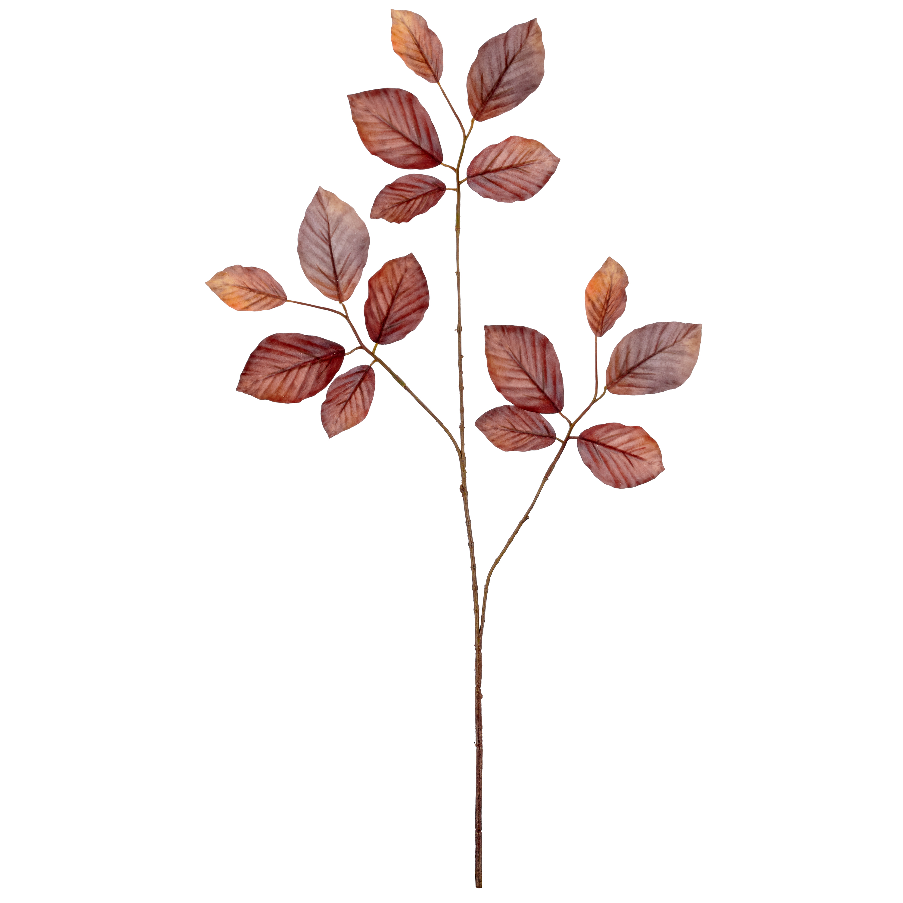 Kunstblume Buchenzweig H: 77 cm Gasper