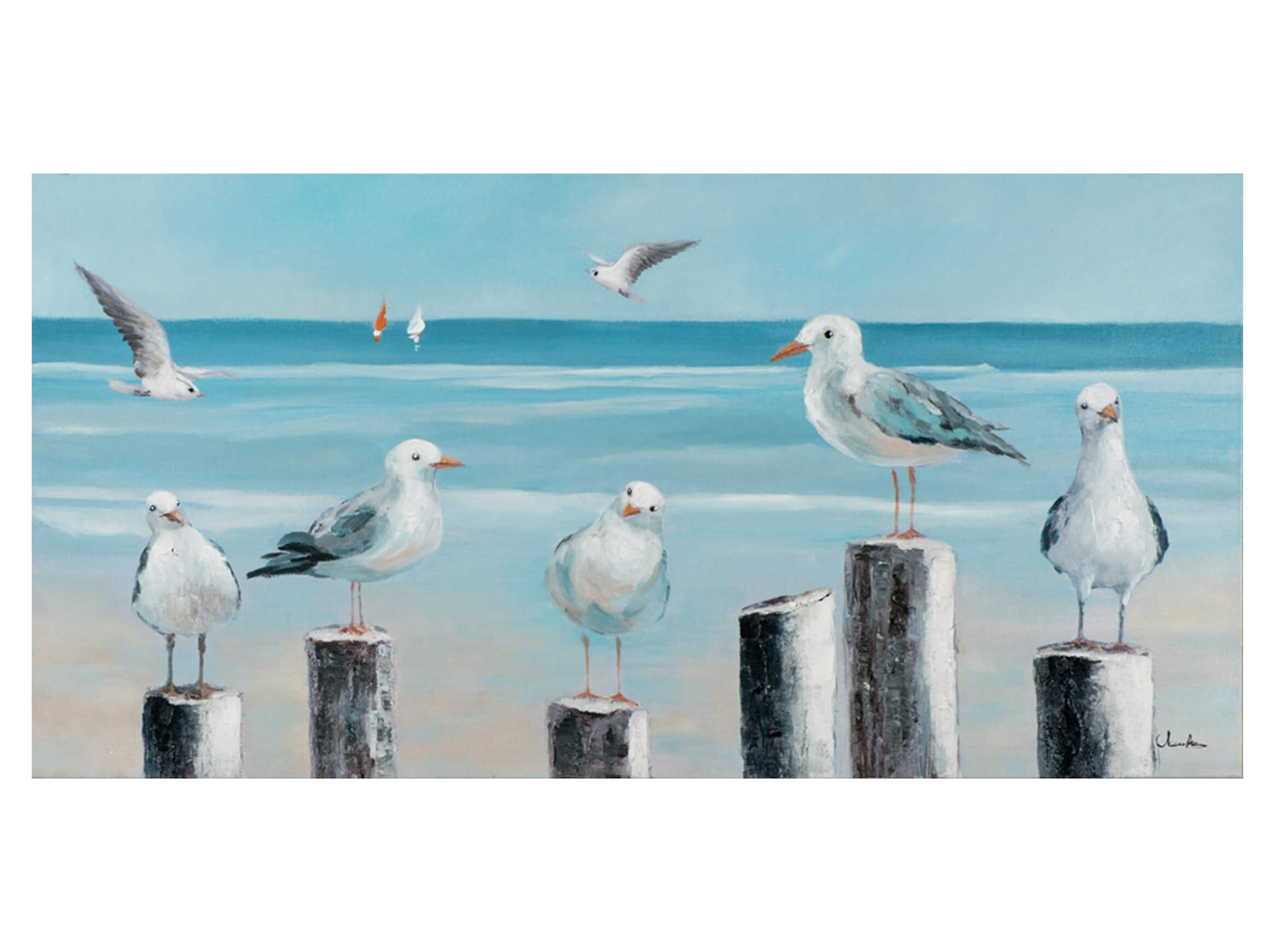 Bild Möwen an Der See 1 image LAND