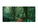 Digitaldruck auf Acrylglas Im Dschungel image LAND / Grösse: 140 x 66 cm