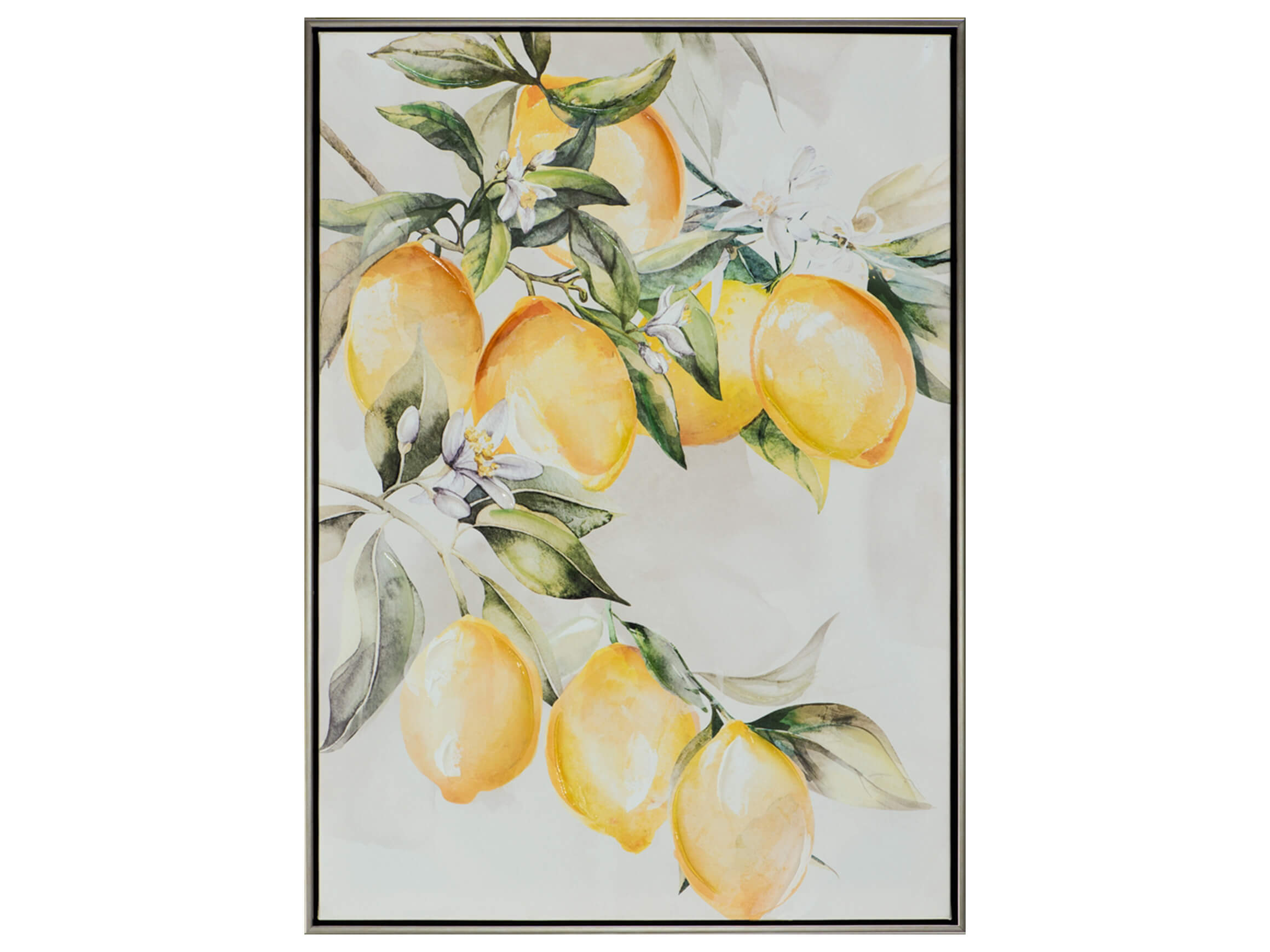 Bild mit Rahmen Zitronenbaum 1 image LAND