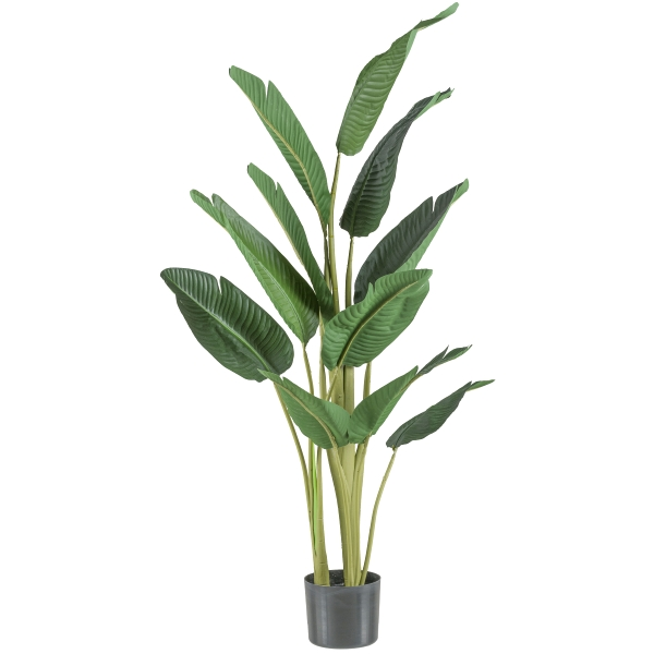 Gasper Kunstpflanzen Traveller Palme H: 150 cm  | Schubiger Möbel