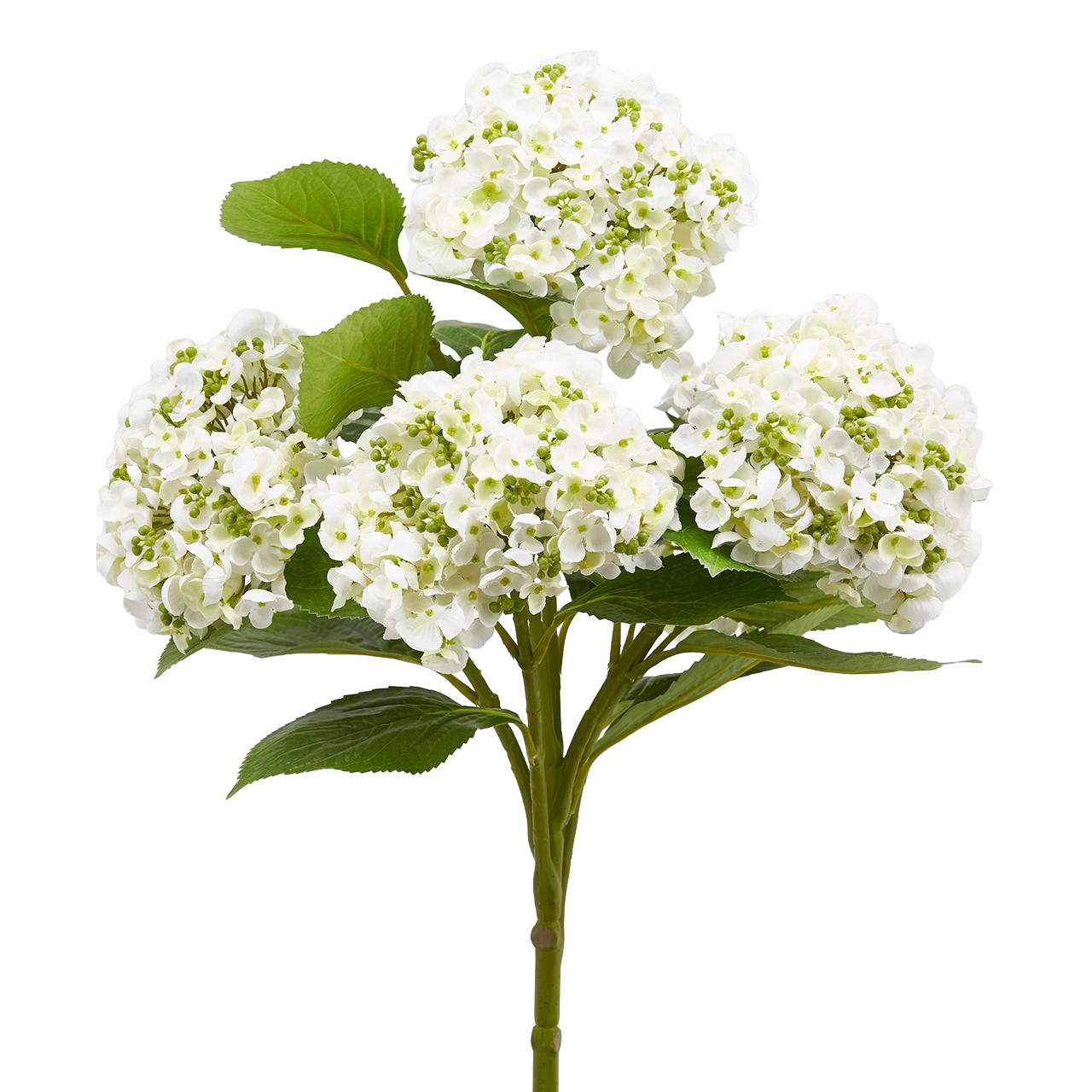 Edg Kunstblumen Hortensie Weiss H: 58 cm  | Schubiger Möbel
