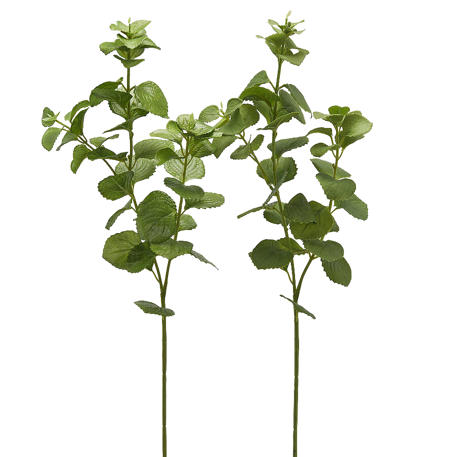 Edg Kunstblume Melisse H: 64 cm  | Schubiger Möbel