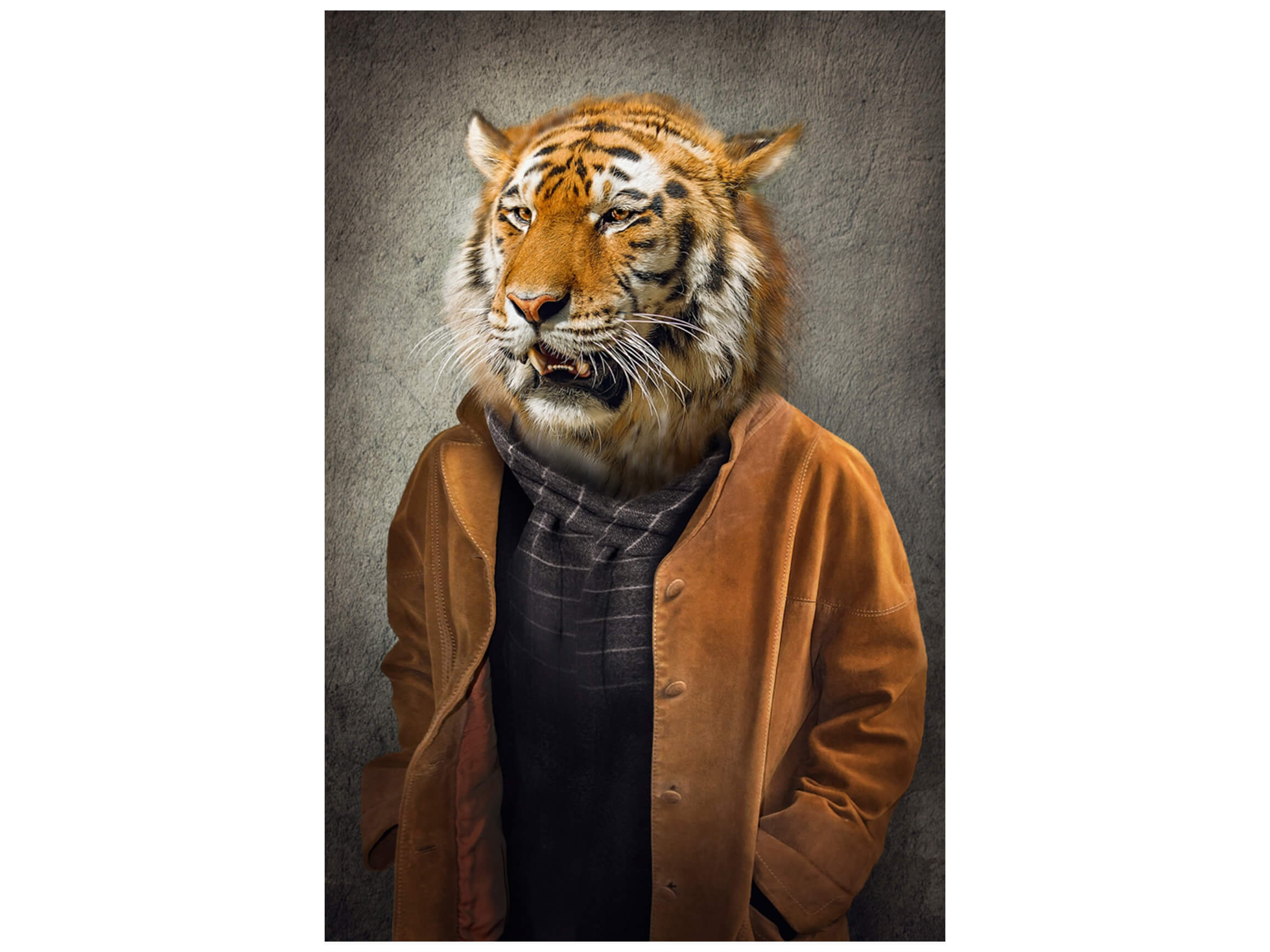 Digitaldruck auf Glas Tiger im Mantel image LAND