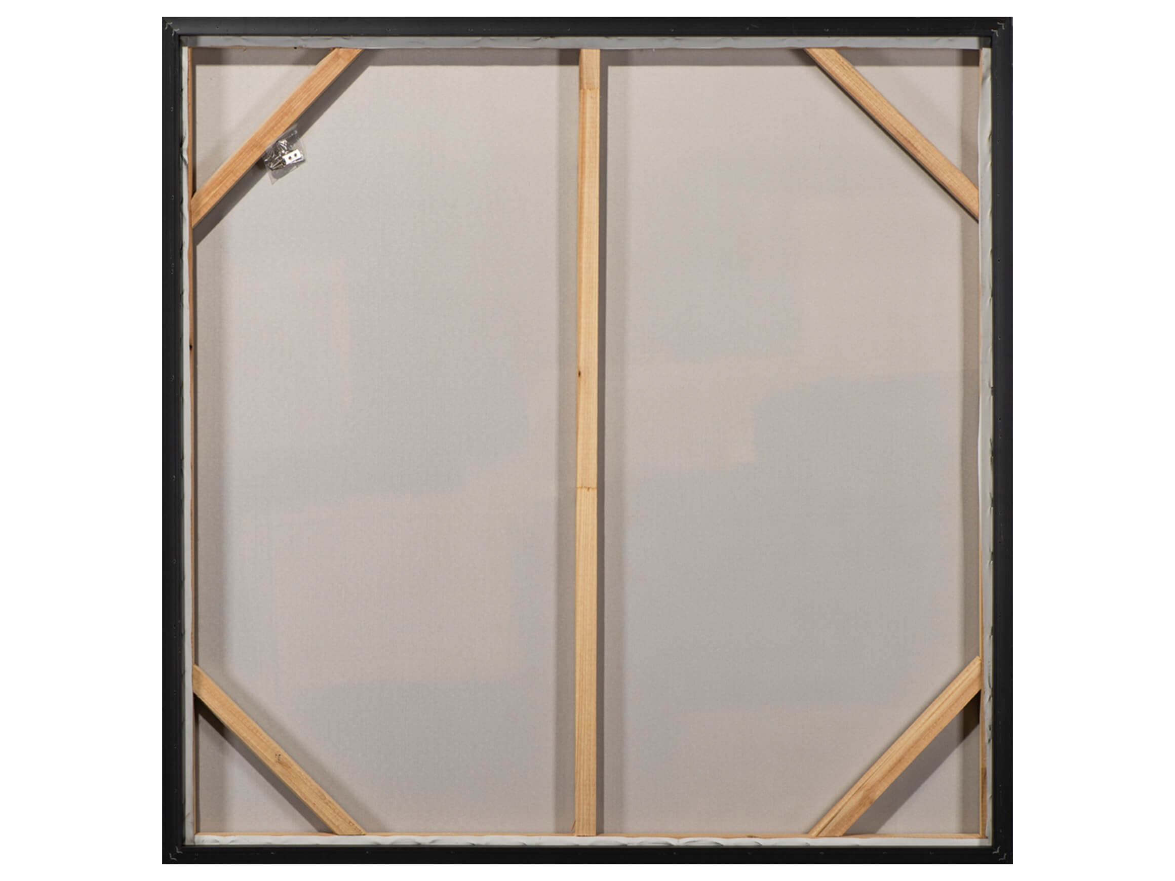 Bild mit Rahmen Palmblätter in Vase image LAND