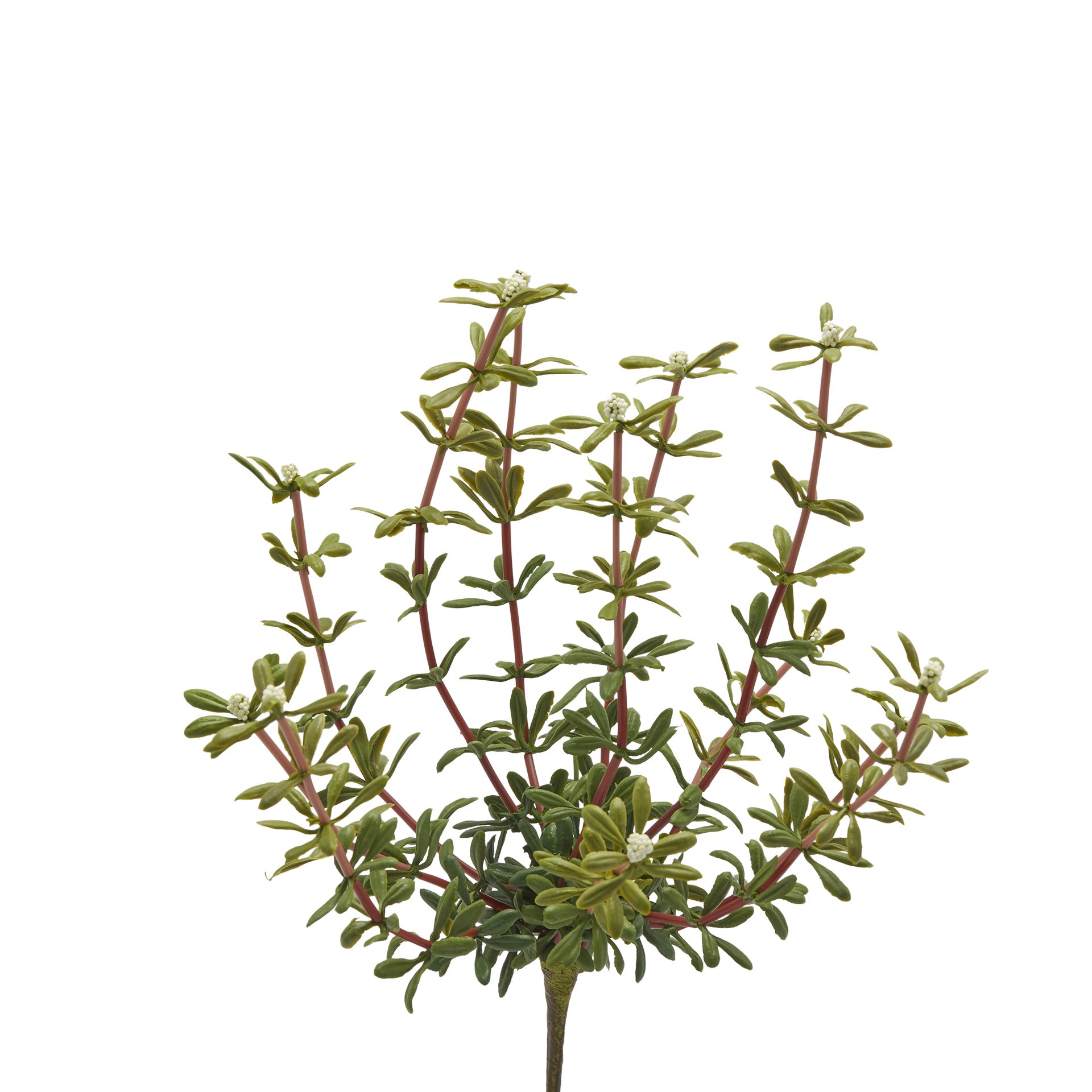 Kunstblume Portulak Weiss H: 27 cm Edg
