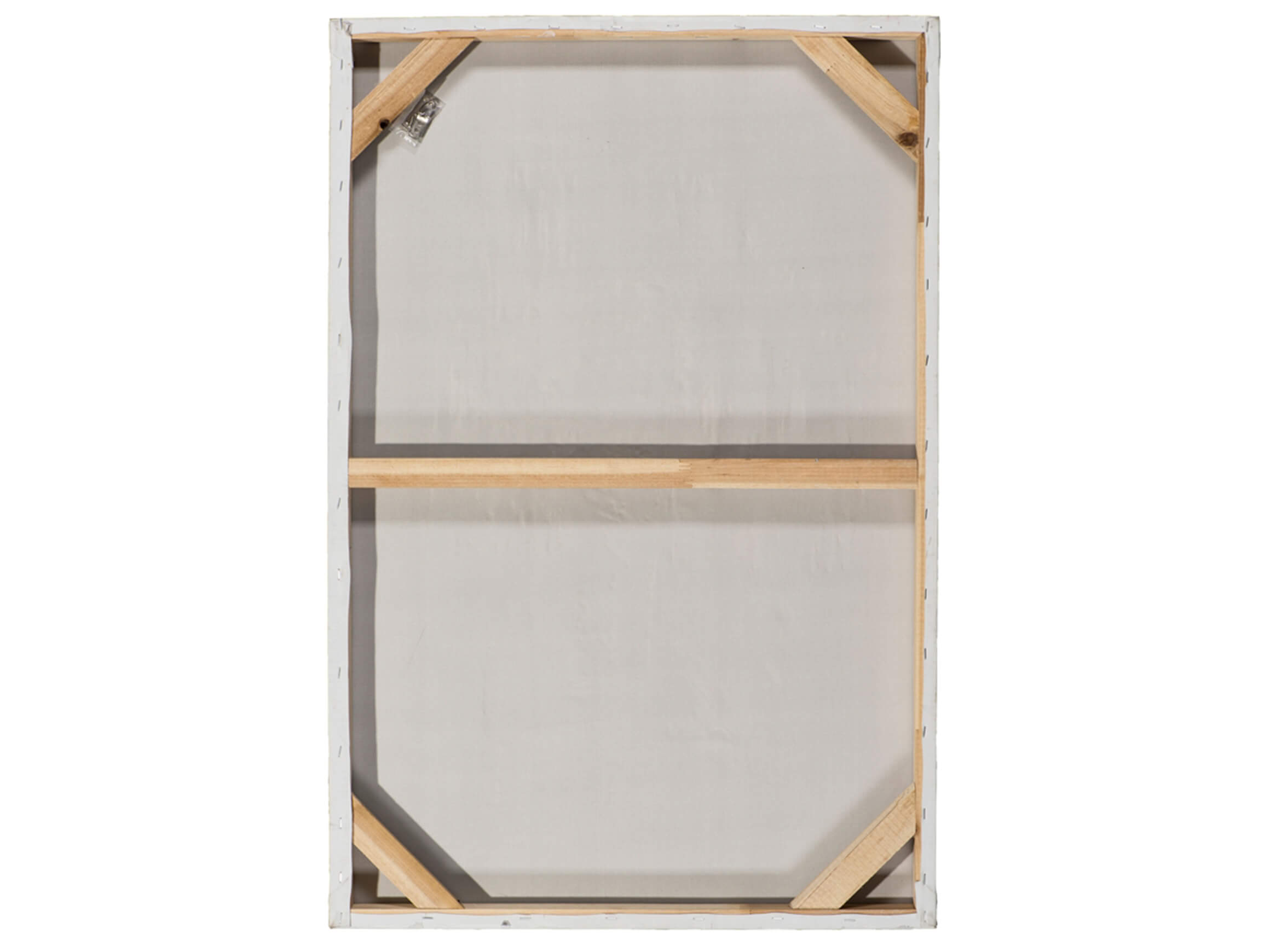 Bild Schönheit mit Schmetterlingsperücke image LAND