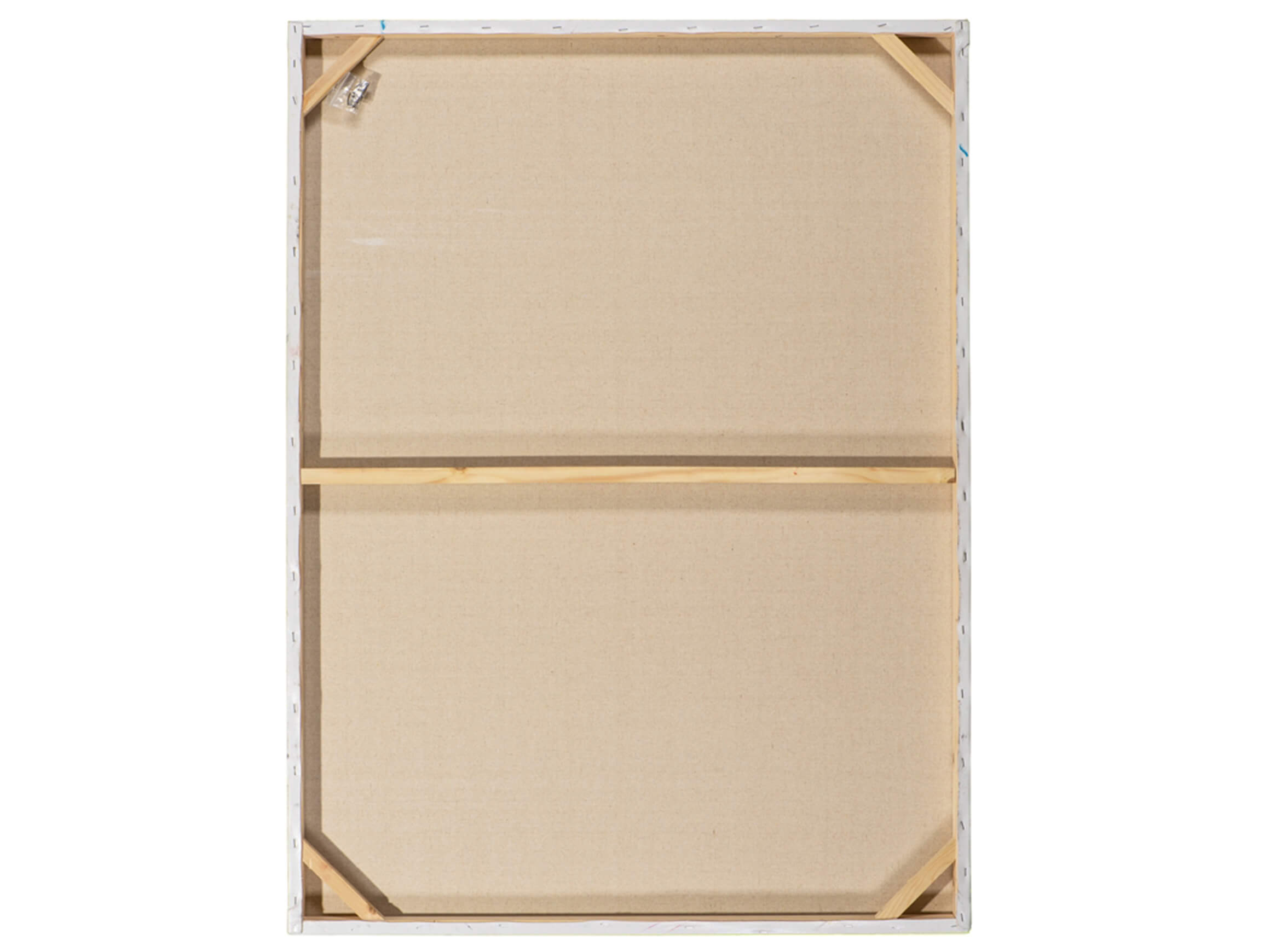 Bild Eleganter Königstiger image LAND