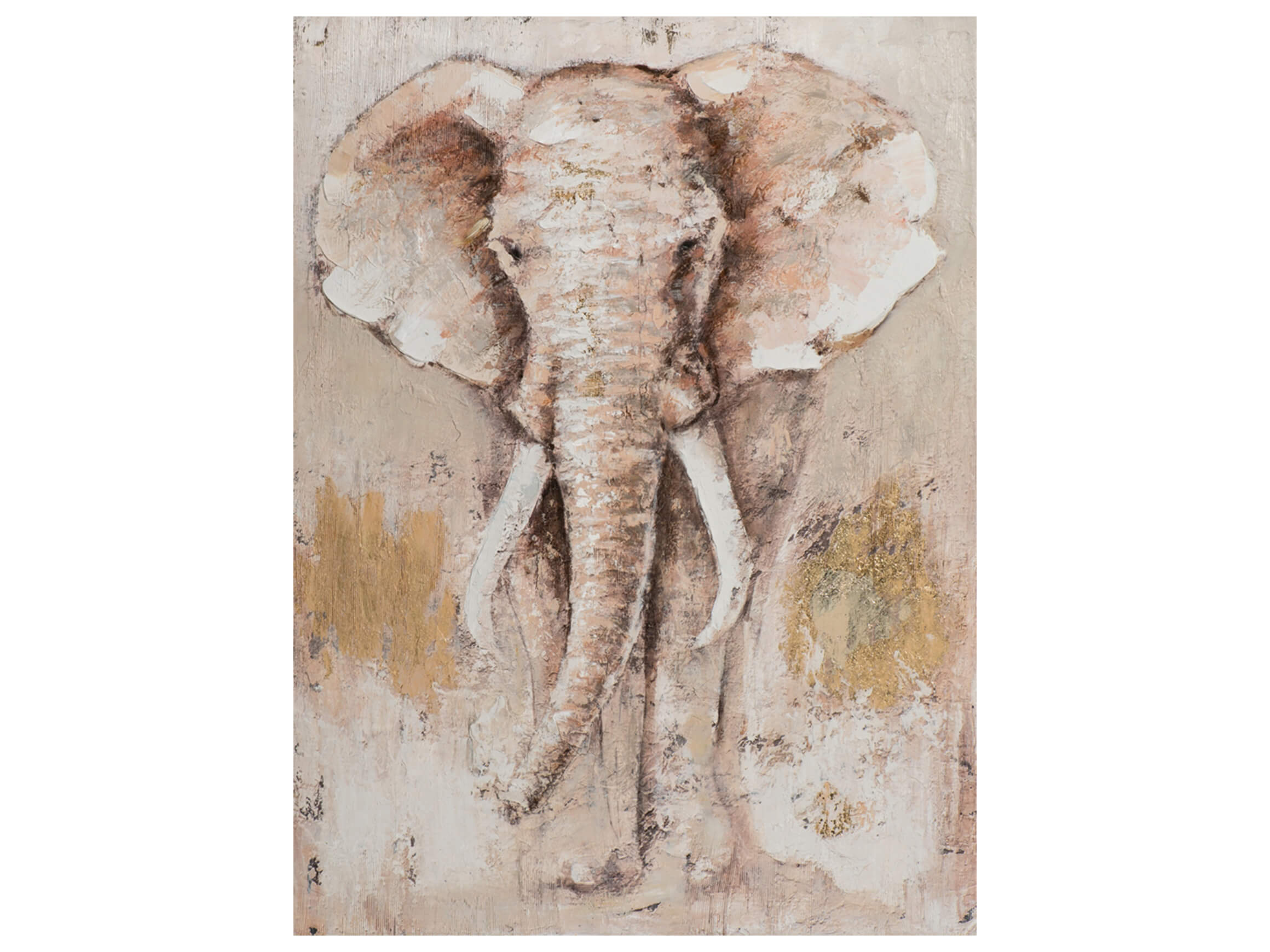 Bild Elefant 90x120 cm image LAND