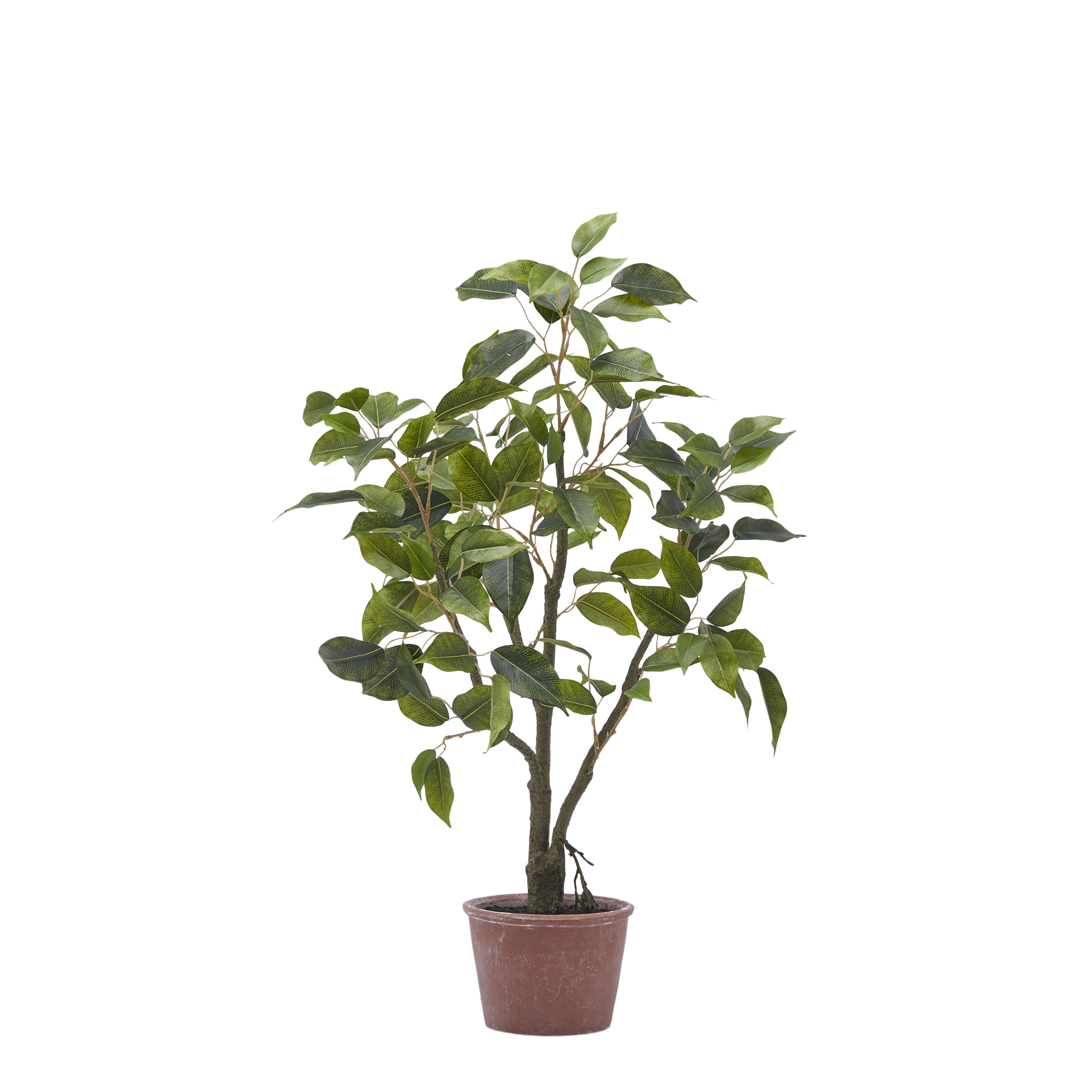 Kunstpflanze Ficusbaum H: 60 cm Edg