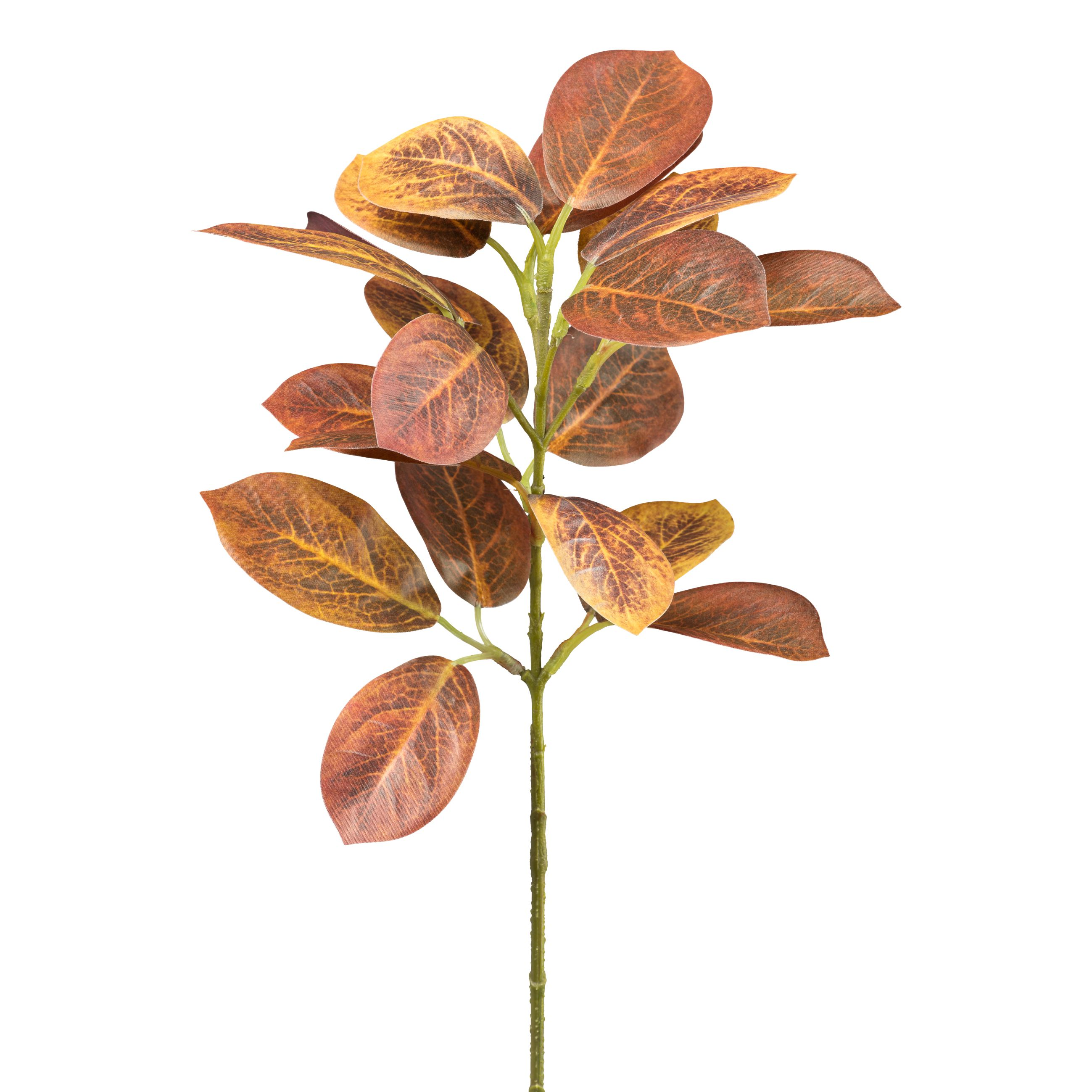 Gasper Kunstblume Cotinuszweitg Rostbraun H: 40 cm  | Schubiger Möbel