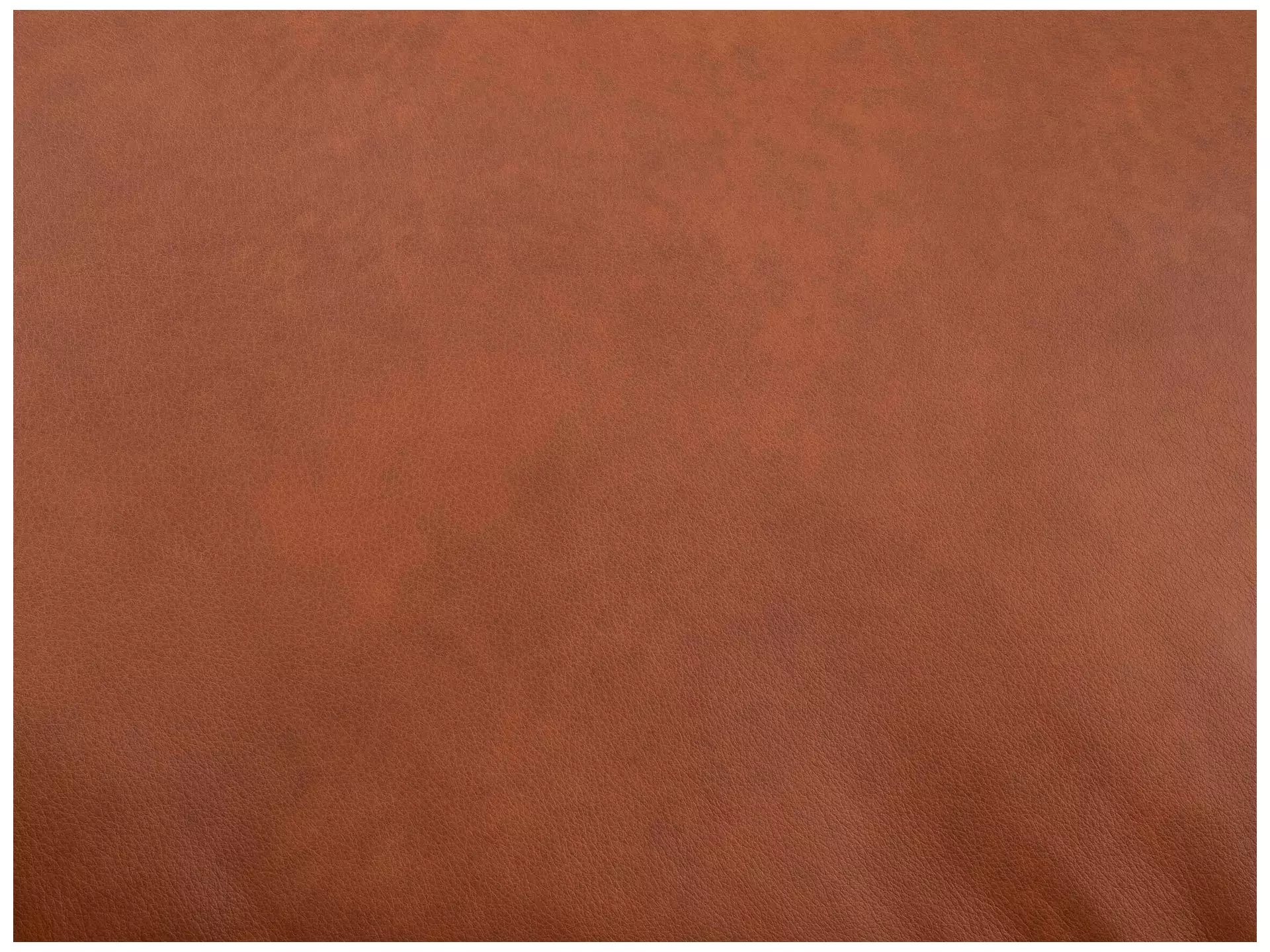 Sofa Foscaari b: 193 cm Schillig Willi / Farbe: Cognac, Material: Leder