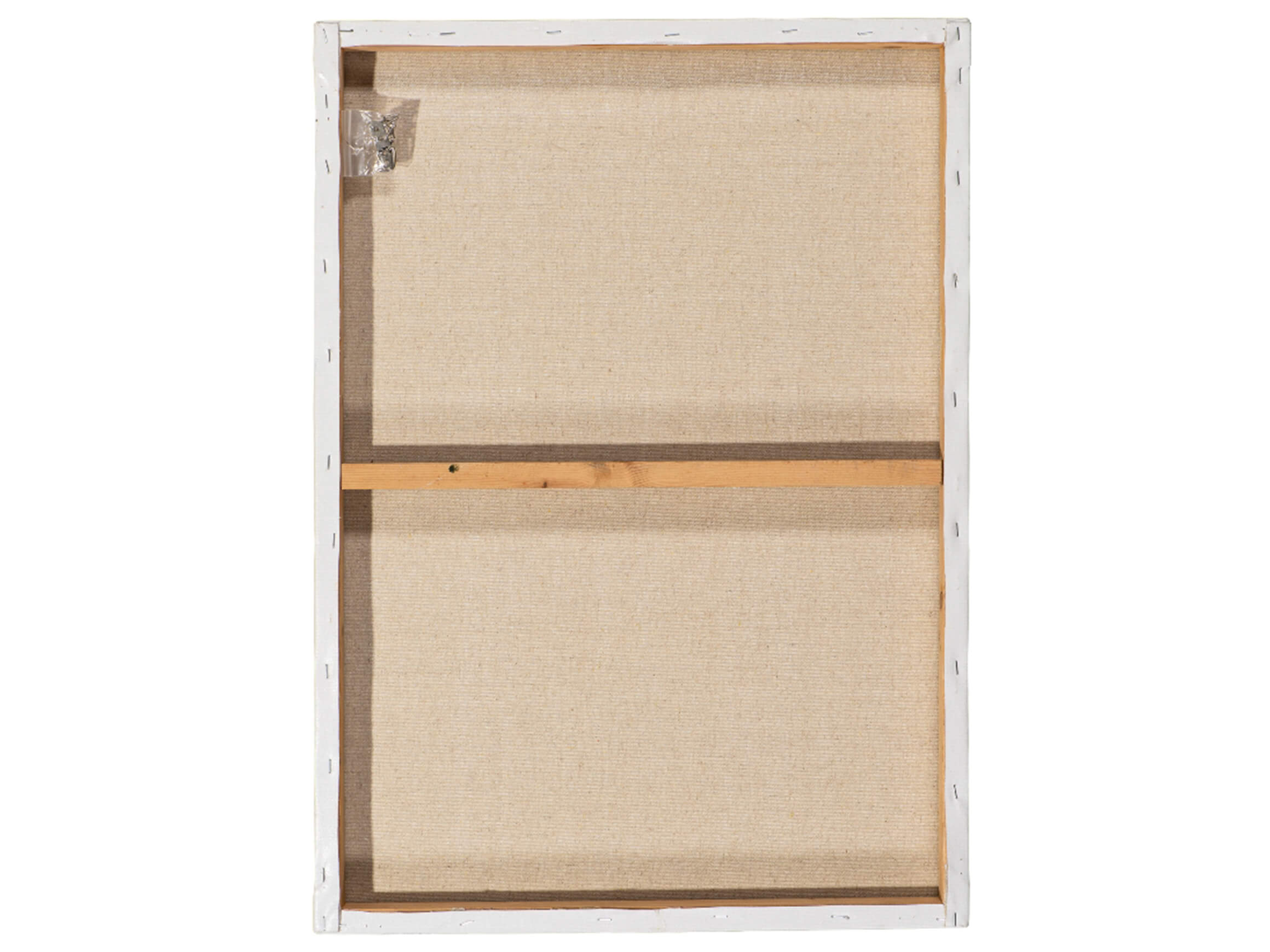 Bild Waschbär mit Blumendekoration image LAND