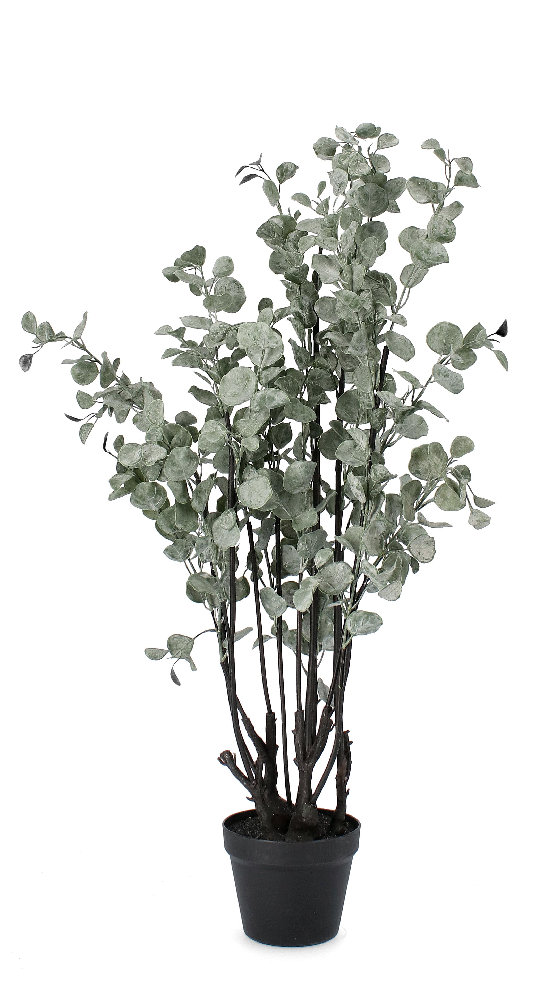 Kunstpflanzen Eukaliptus im Kunststofftopf H: 110 cm Bizzotto / Farbe: Grün
