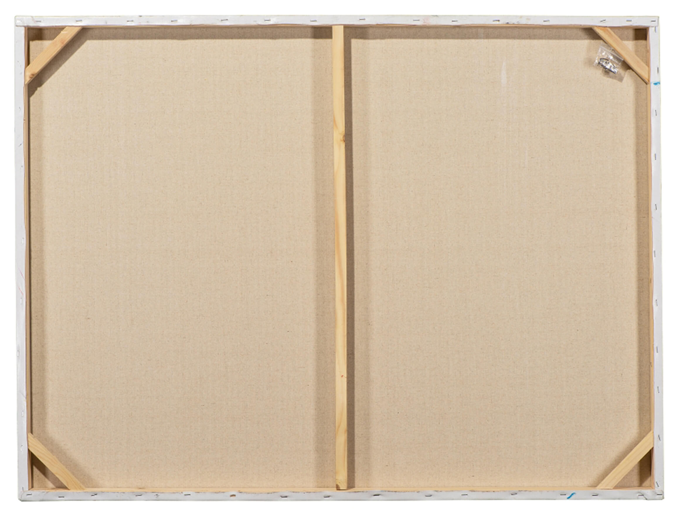 Bild Lustige Kühe image LAND