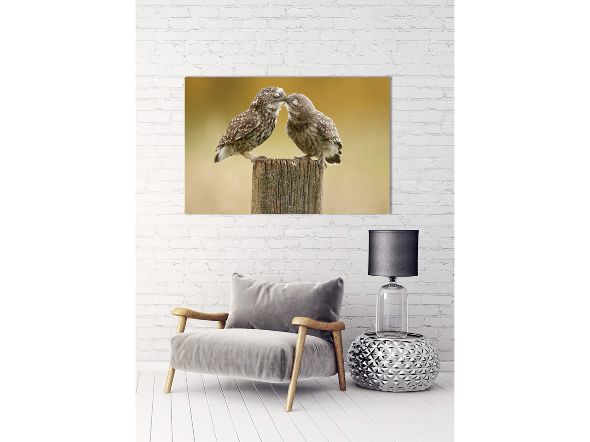 Digitaldruck auf Acrylglas 2 Spatzen image LAND / Grösse: 120 x 80 cm