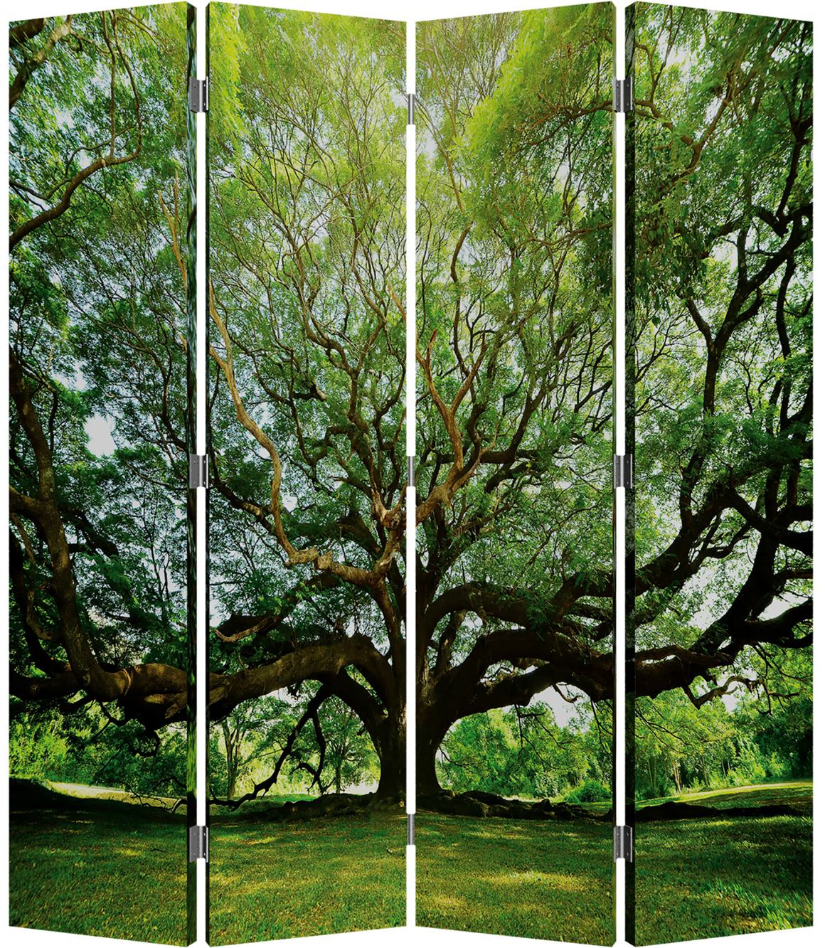 Cloison « Fascination de l'arbre et du paon » Motif réversible image LAND