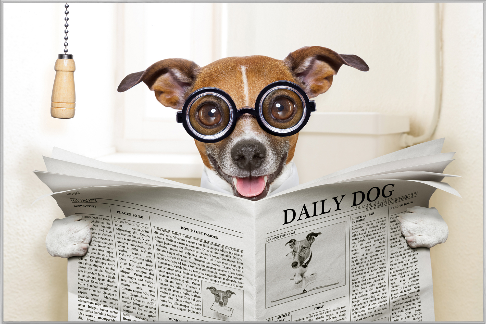 Bild mit Rahmen-Hund mit Zeitung-image LAND