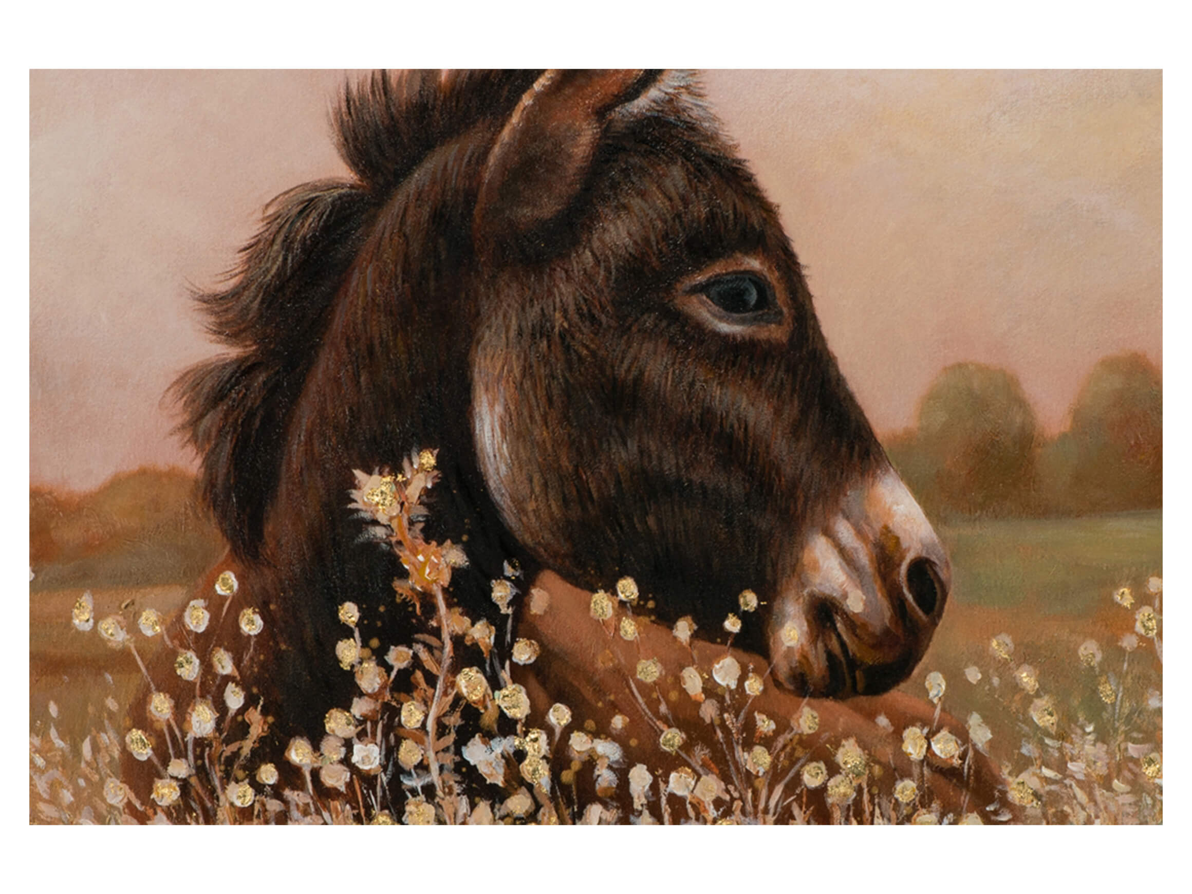 Bild Esel im Kornfeld image LAND