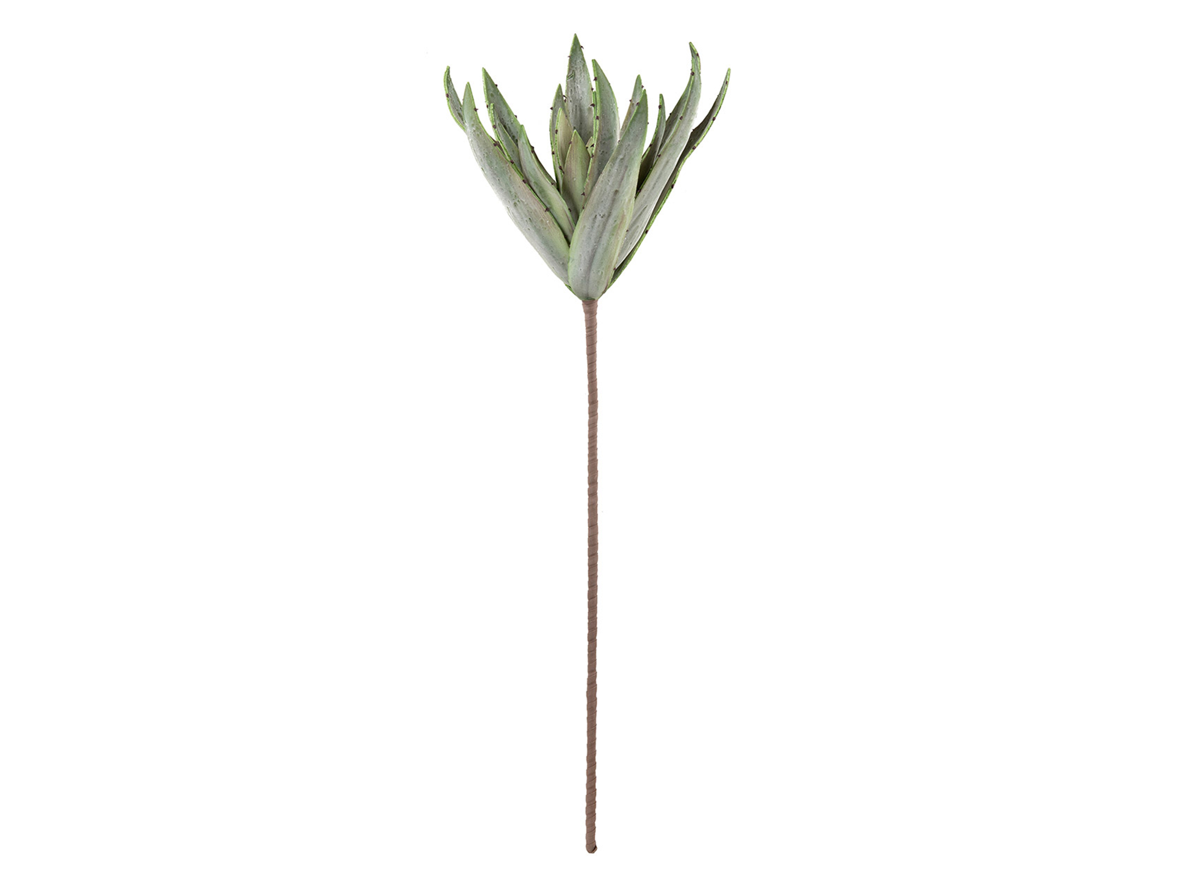 Gilde Kunstblumen Kaktusblätter H: 110 cm  | Schubiger Möbel