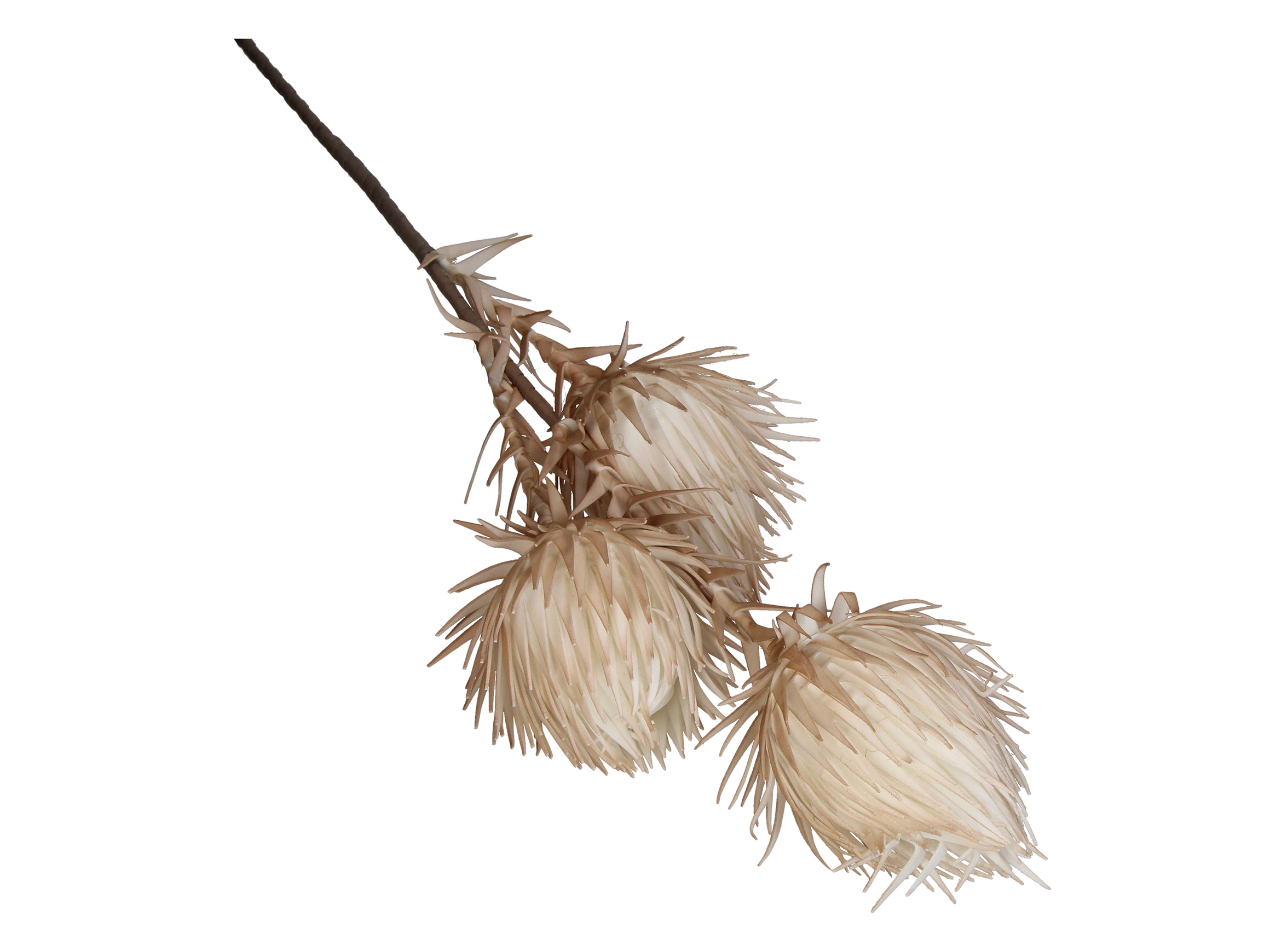 Kunstblumen 3 Knospen Beige H: 100 cm Kersten