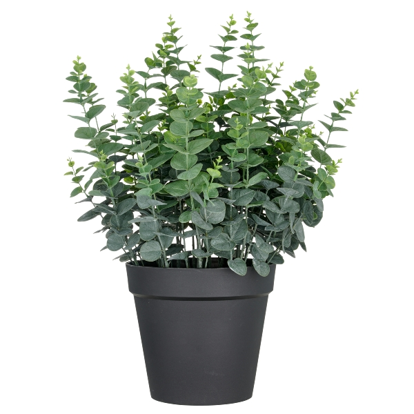 Gasper Kunstpflanzen Eukalyptus im Kunststofftopf H: 70 cm  | Schubiger Möbel
