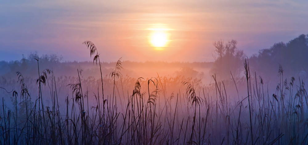 Alubild Sonnenaufgang im Nebel image LAND