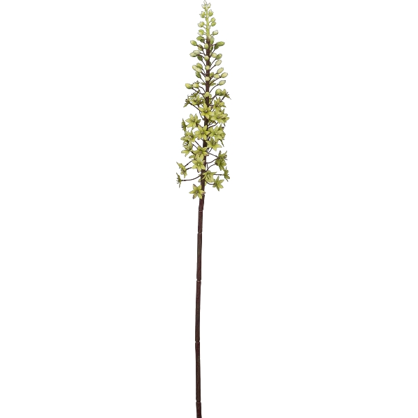 Kunstblume Eremurus, Hellgrün H: 89 cm Gasper