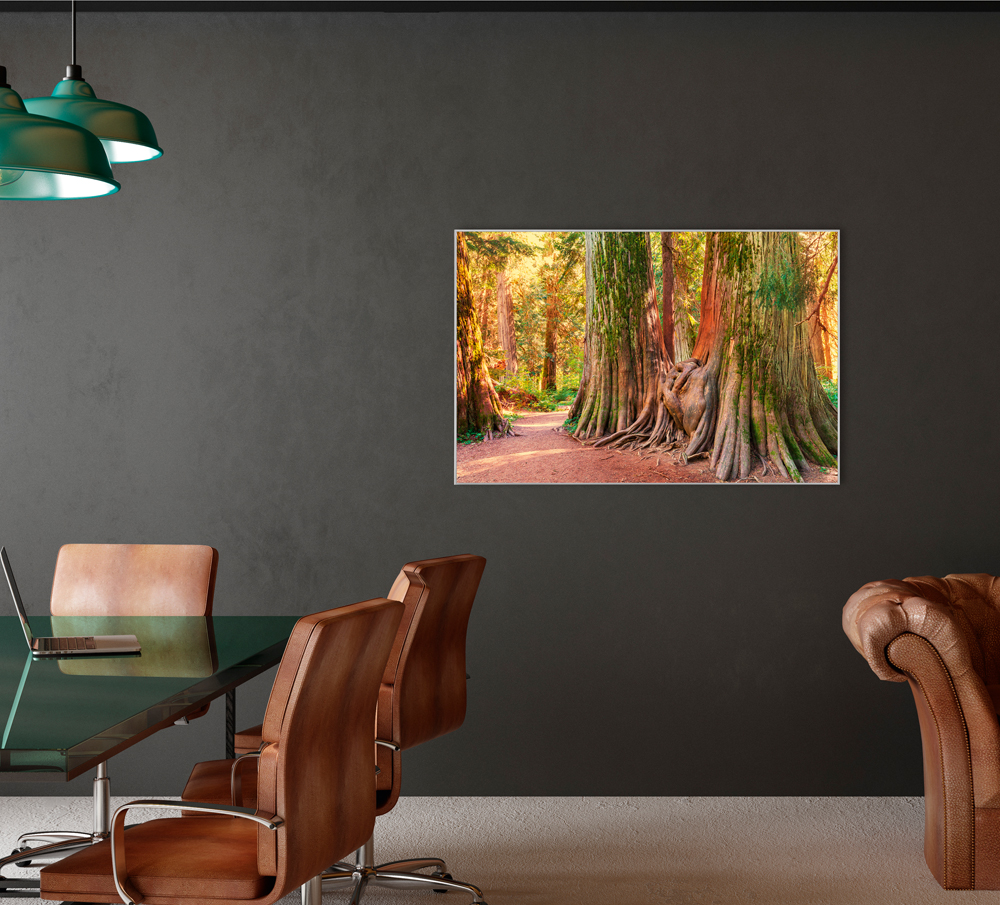Bild mit Rahmen-Baumwurzel-image LAND