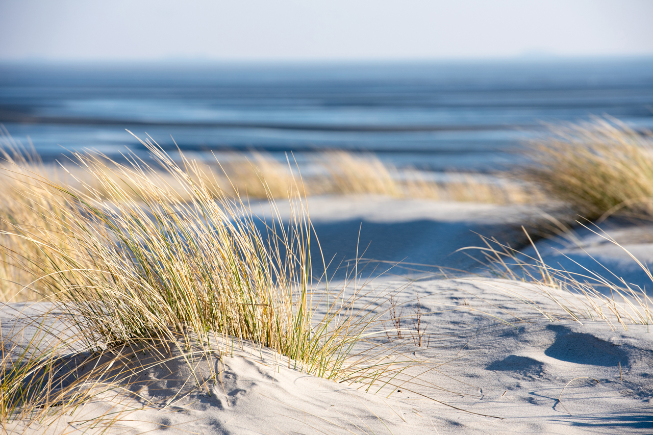 'Time Out on The Beach' canvas image LAND
