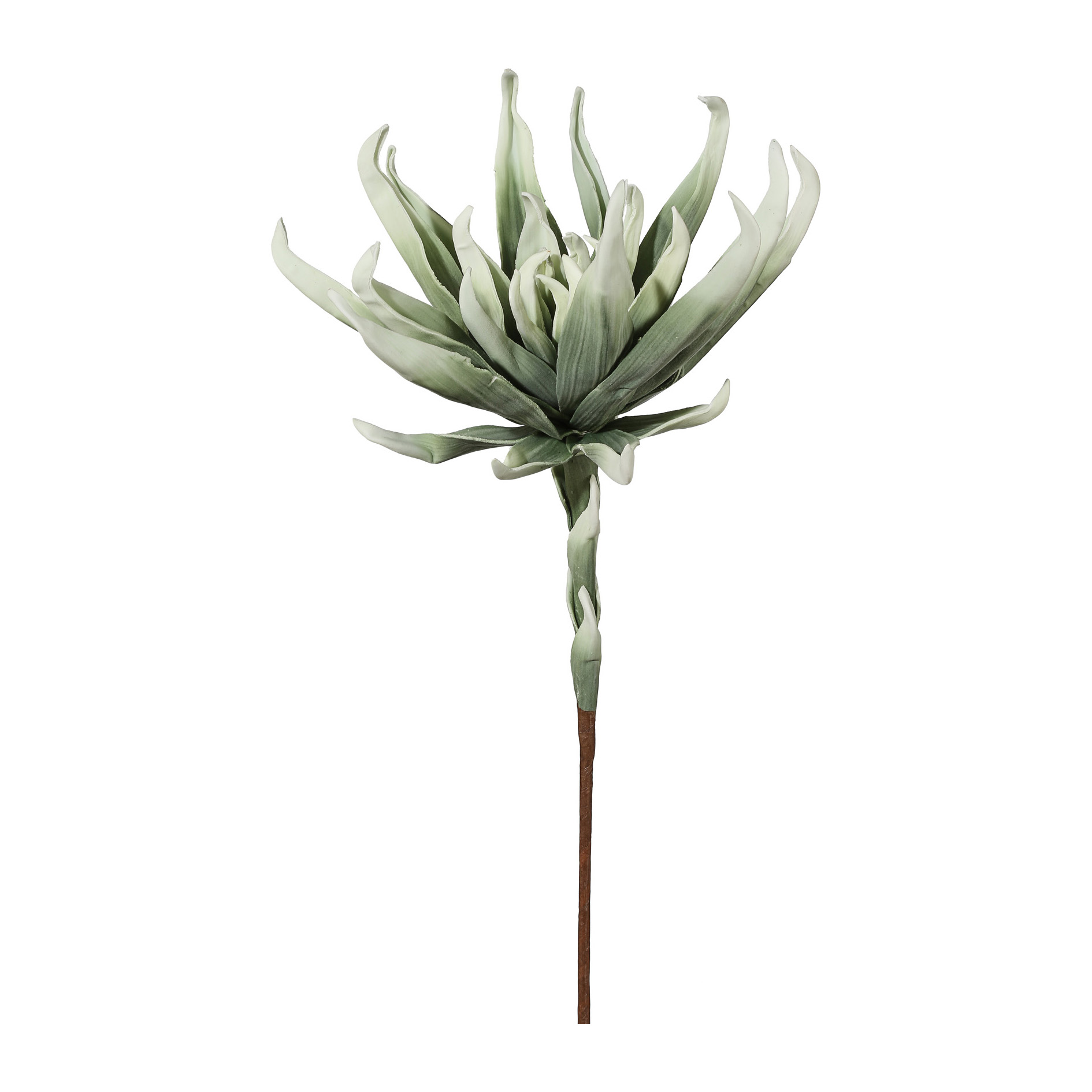 Schaumstoff Dekozweig Agave 85cmL gruen 603702-50 Gasper / Grösse: x cm