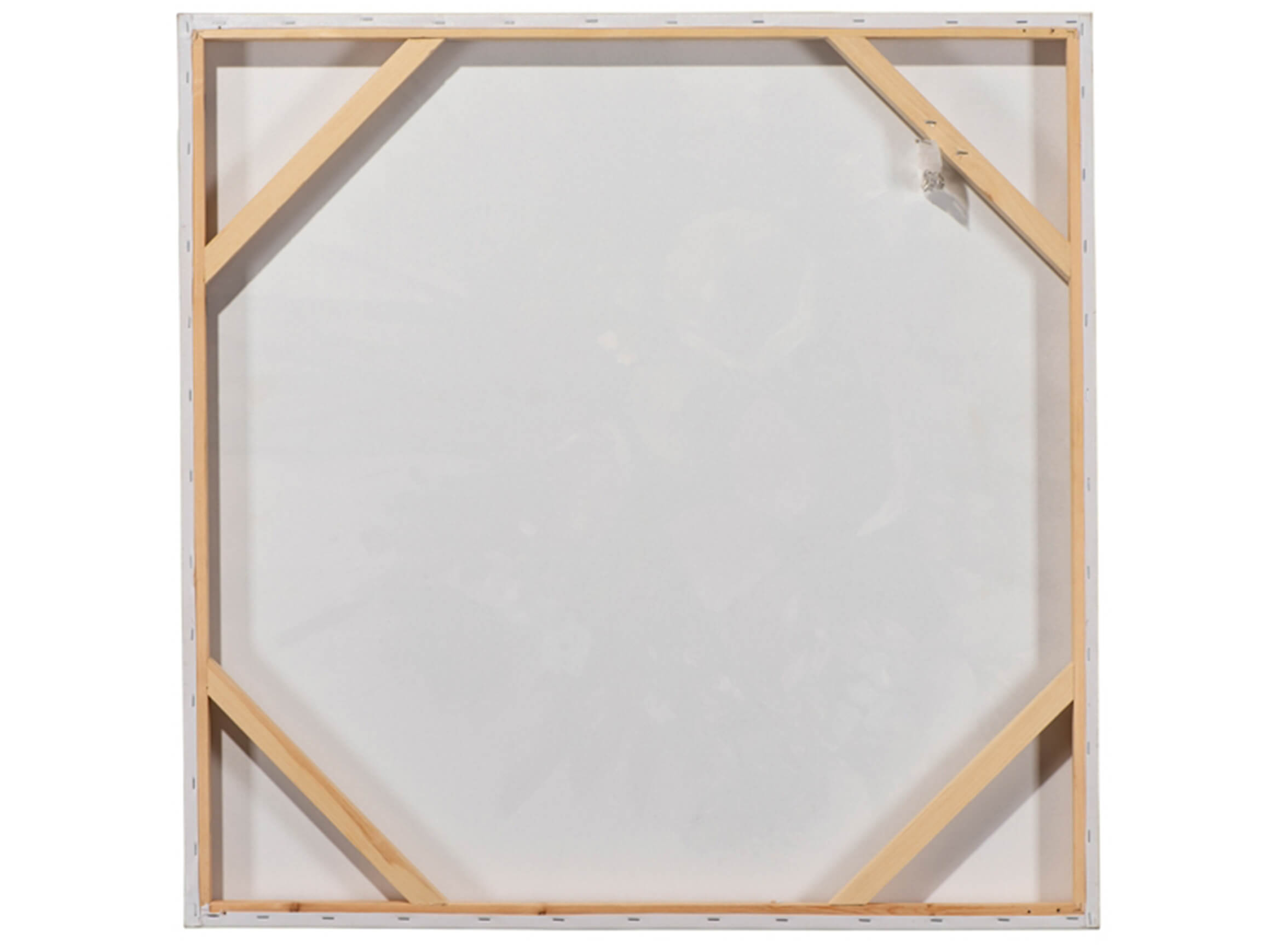 Bild Cool Dog image LAND / Grösse: 80 x 80 cm