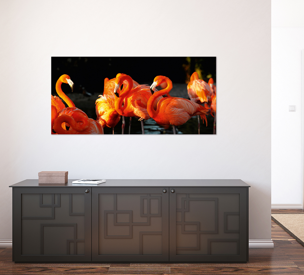Alubild-Flamingos-image LAND