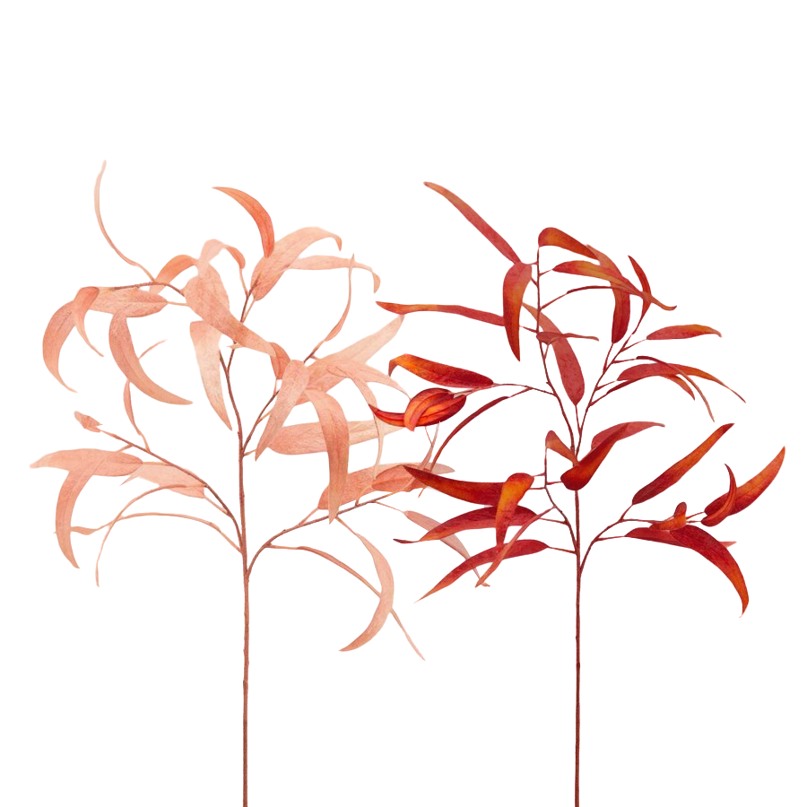 Kunstblume Eucalypthus Apricot-Rost H: 65 cm Edg