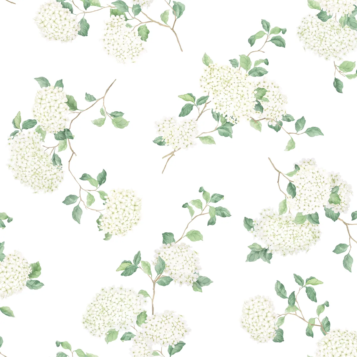 Hortensia Noblesse