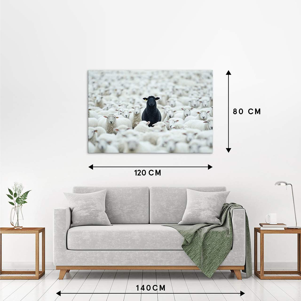 Canvas-Black Sheep-image LAND
