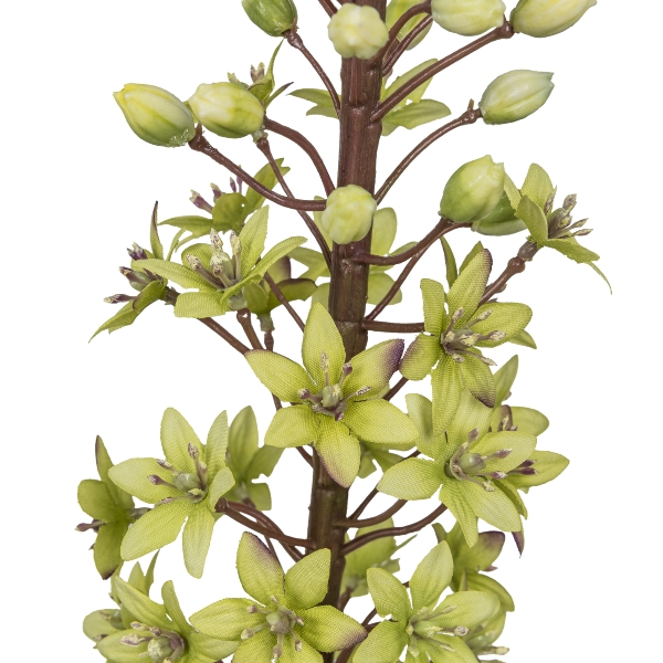 Kunstblume Eremurus, Hellgrün H: 89 cm Gasper