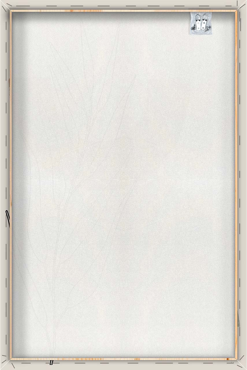 Canvas-Nature Shapes-image LAND