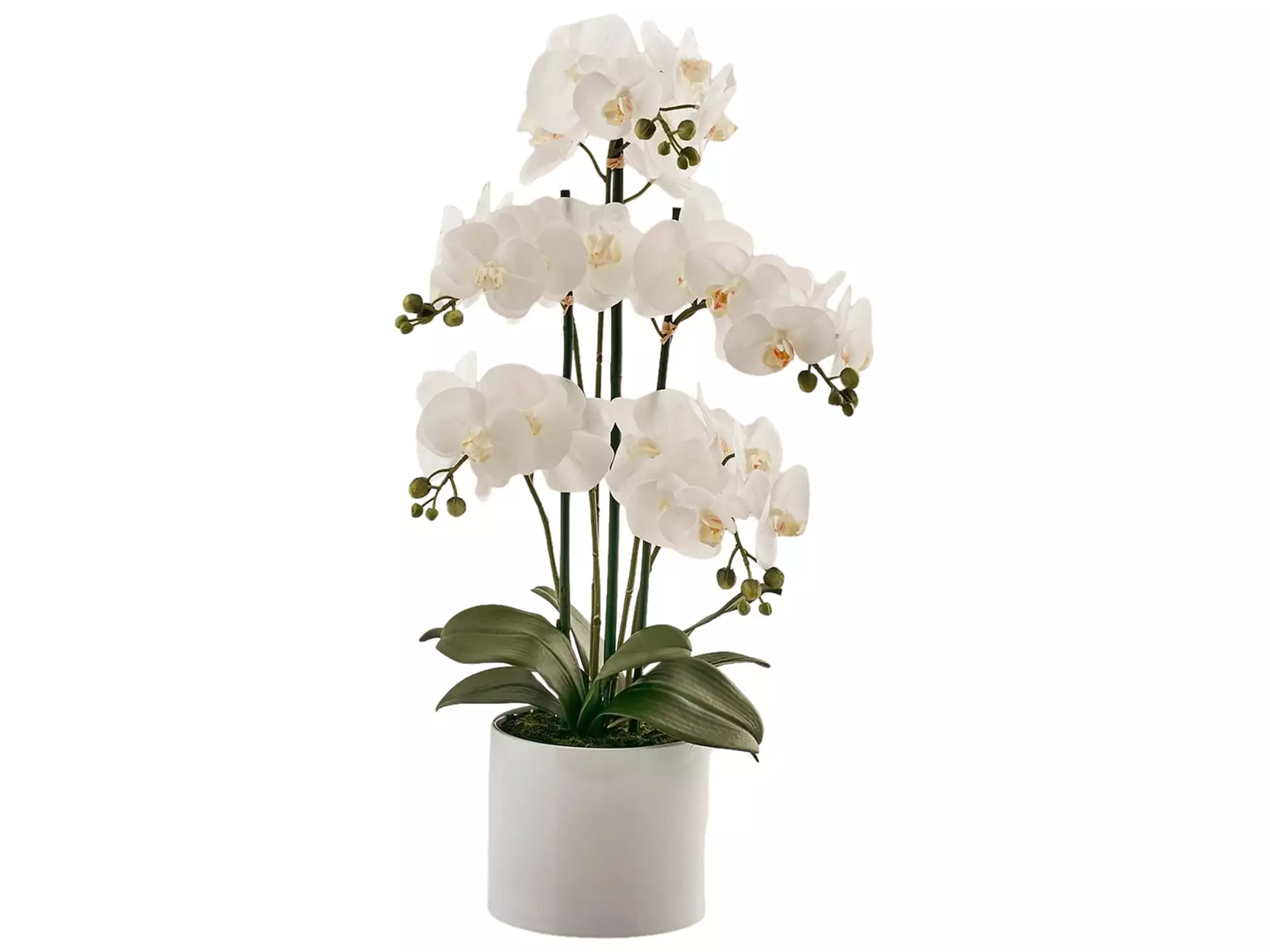 Kunstblume Orchidee im Weissen Topf H: 65 cm Edg