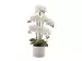 Kunstblume Orchidee im Weissen Topf H: 65 cm Edg