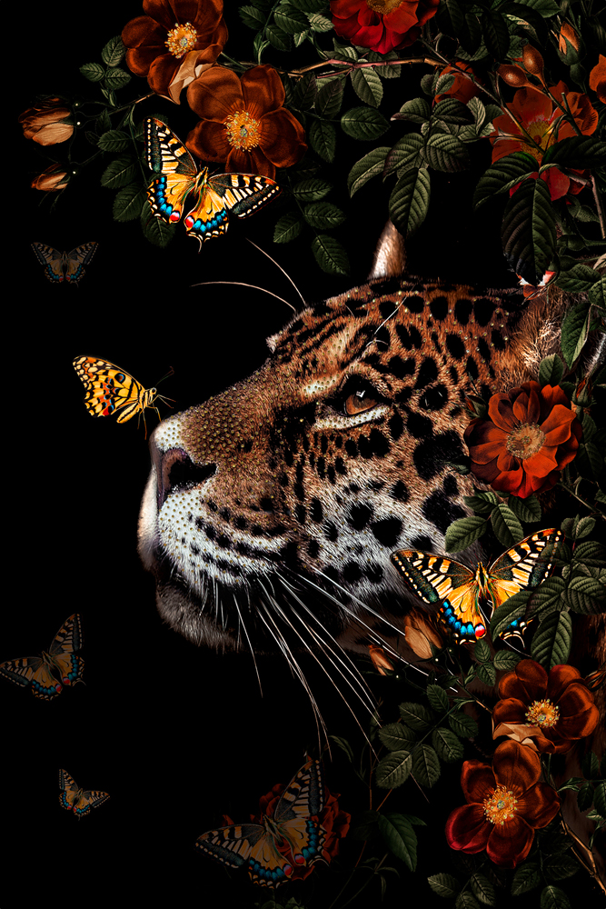 image LAND Glasbild Glitzernder Leo  | Schubiger Möbel